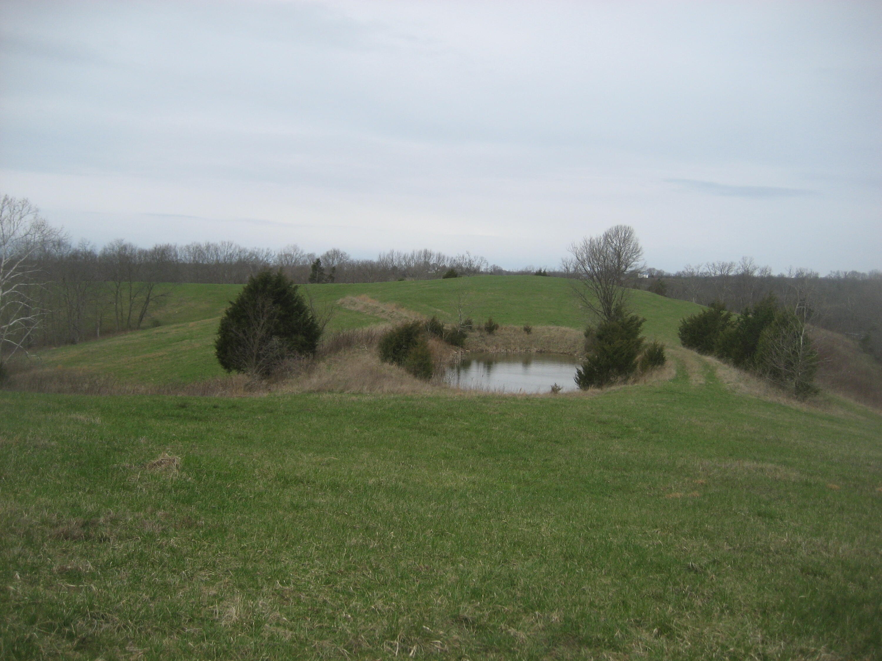 0000 N North Rays Fork Road Property Photo 20