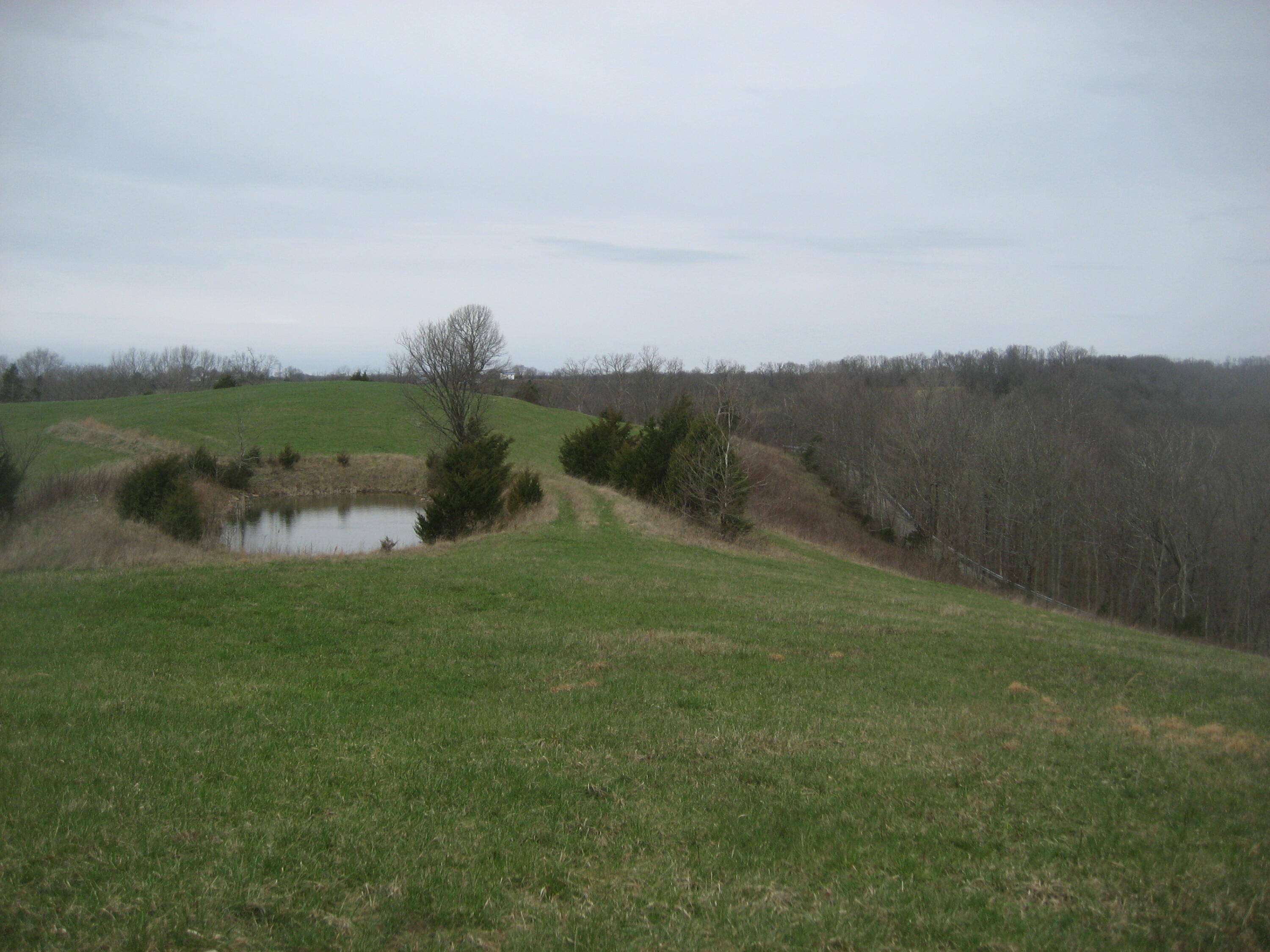 0000 N North Rays Fork Road Property Photo 21
