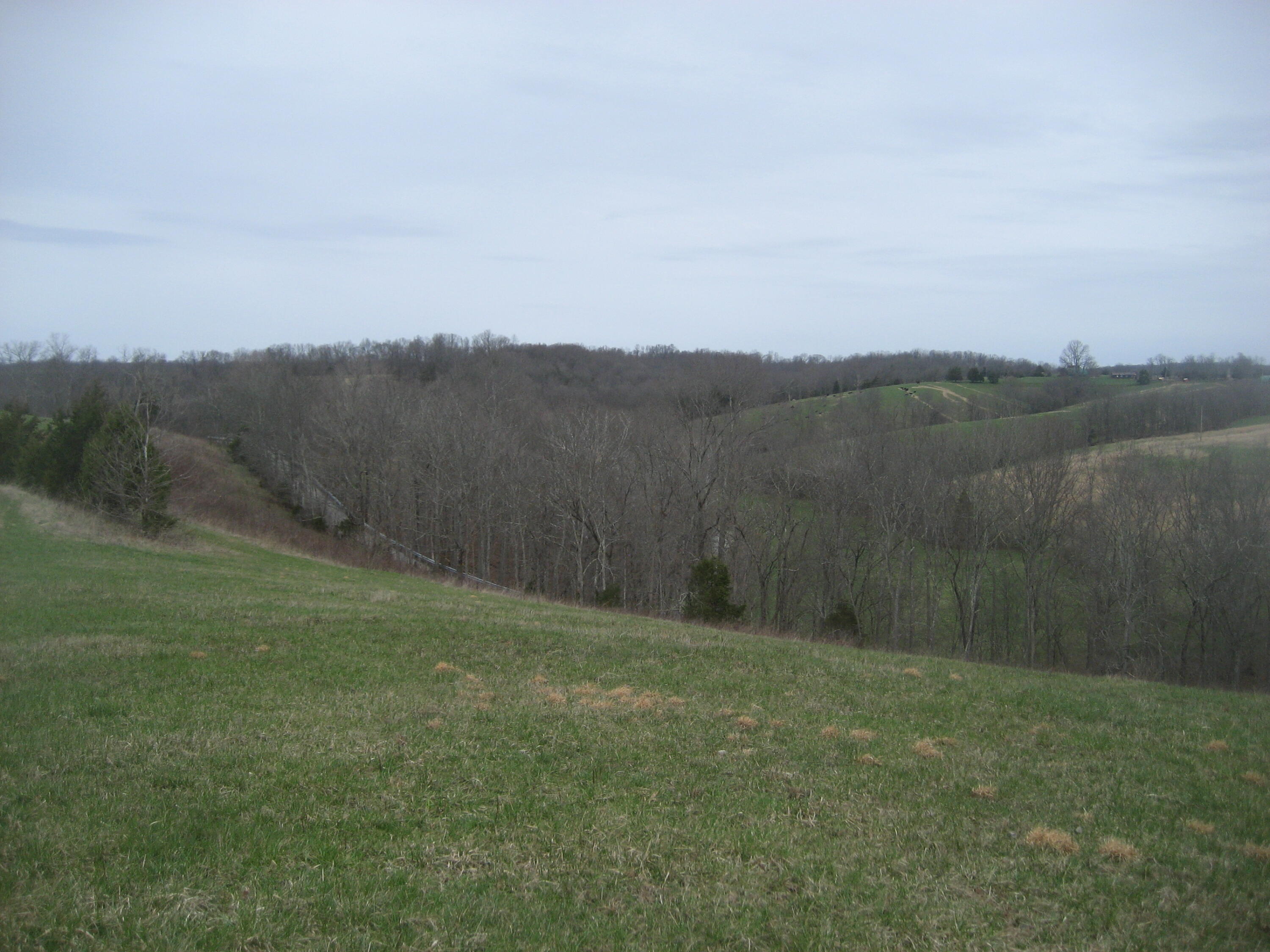 0000 N North Rays Fork Road Property Photo 22