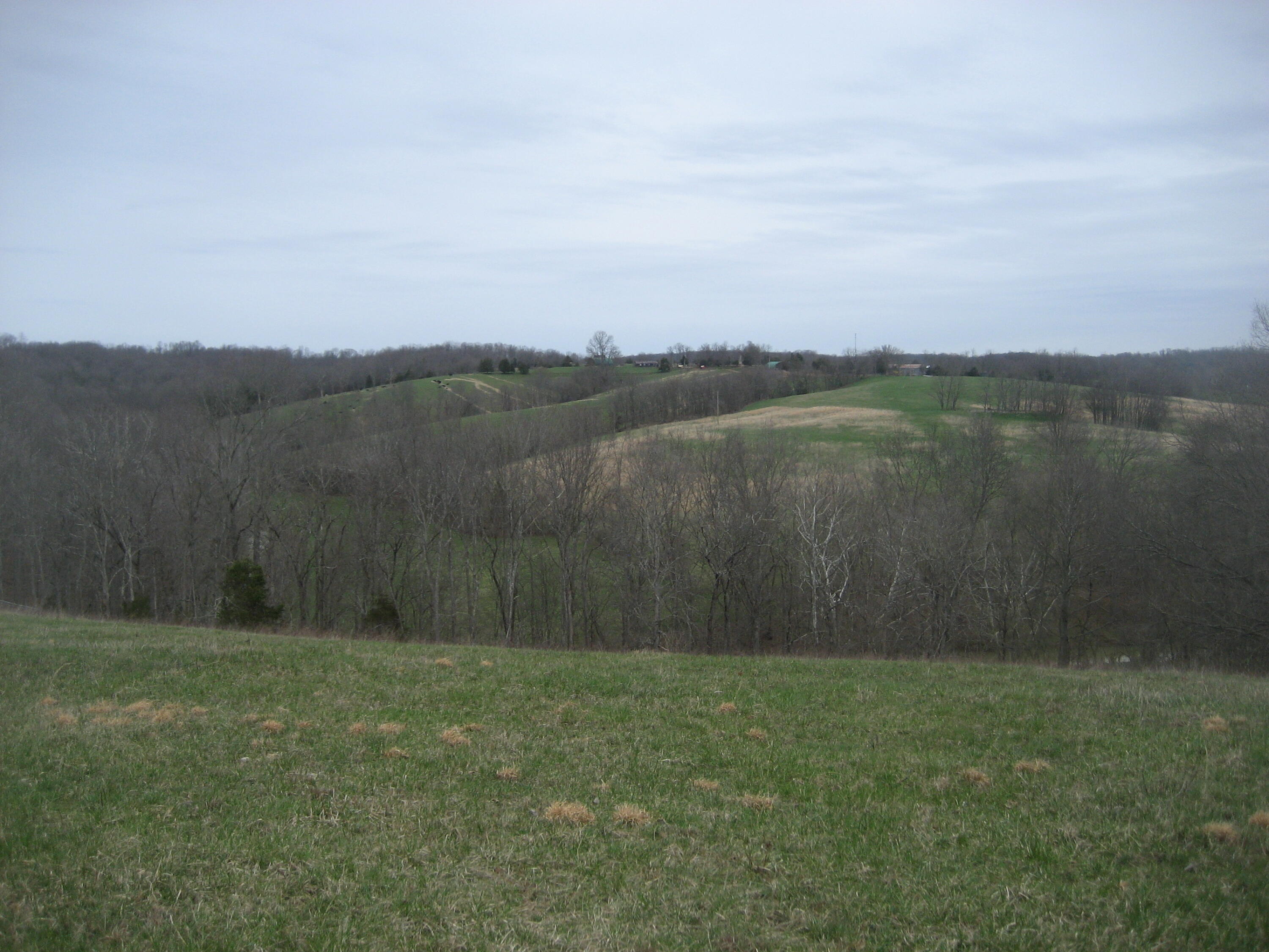 0000 N North Rays Fork Road Property Photo 23
