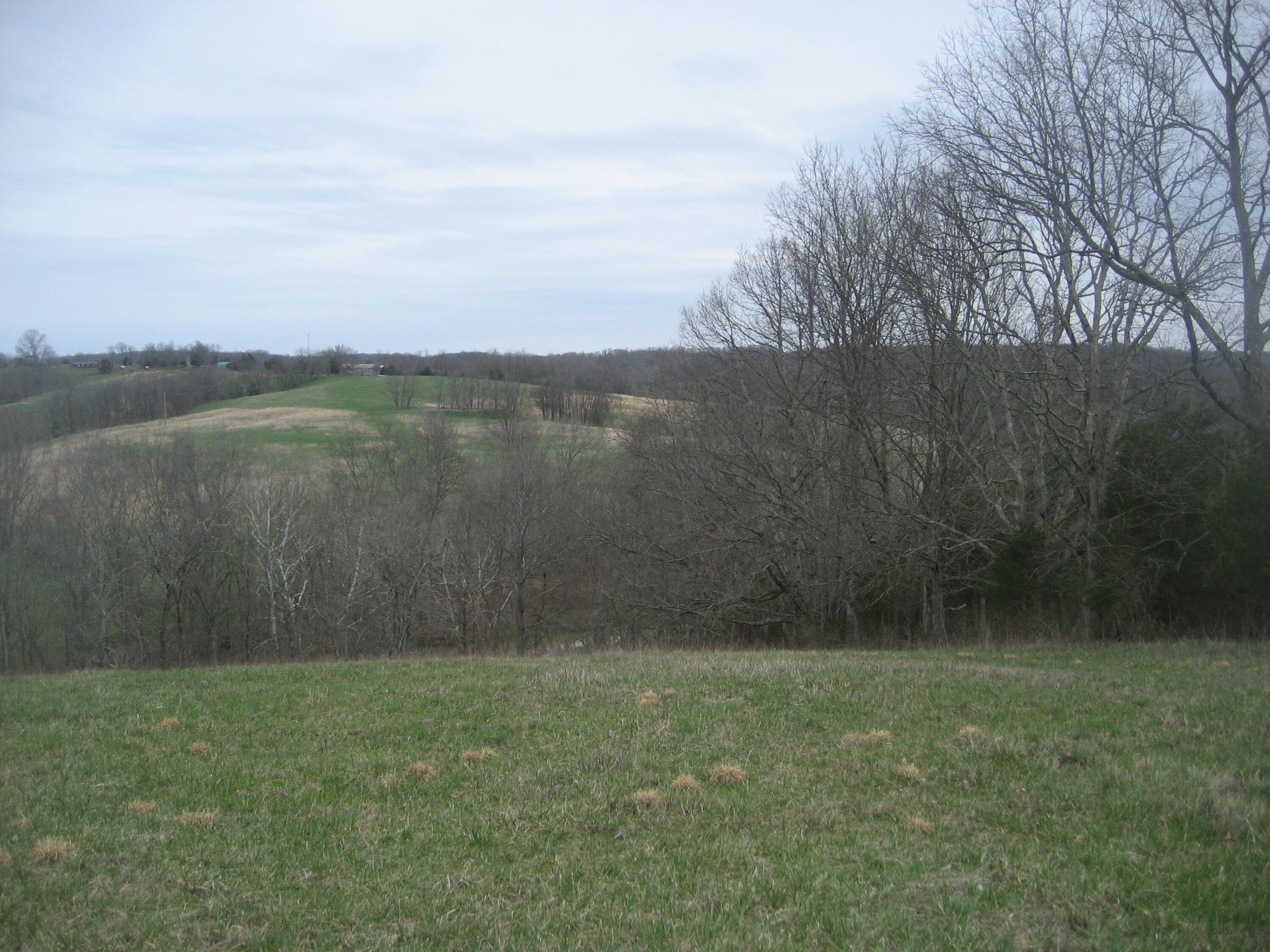 0000 N North Rays Fork Road Property Photo 24