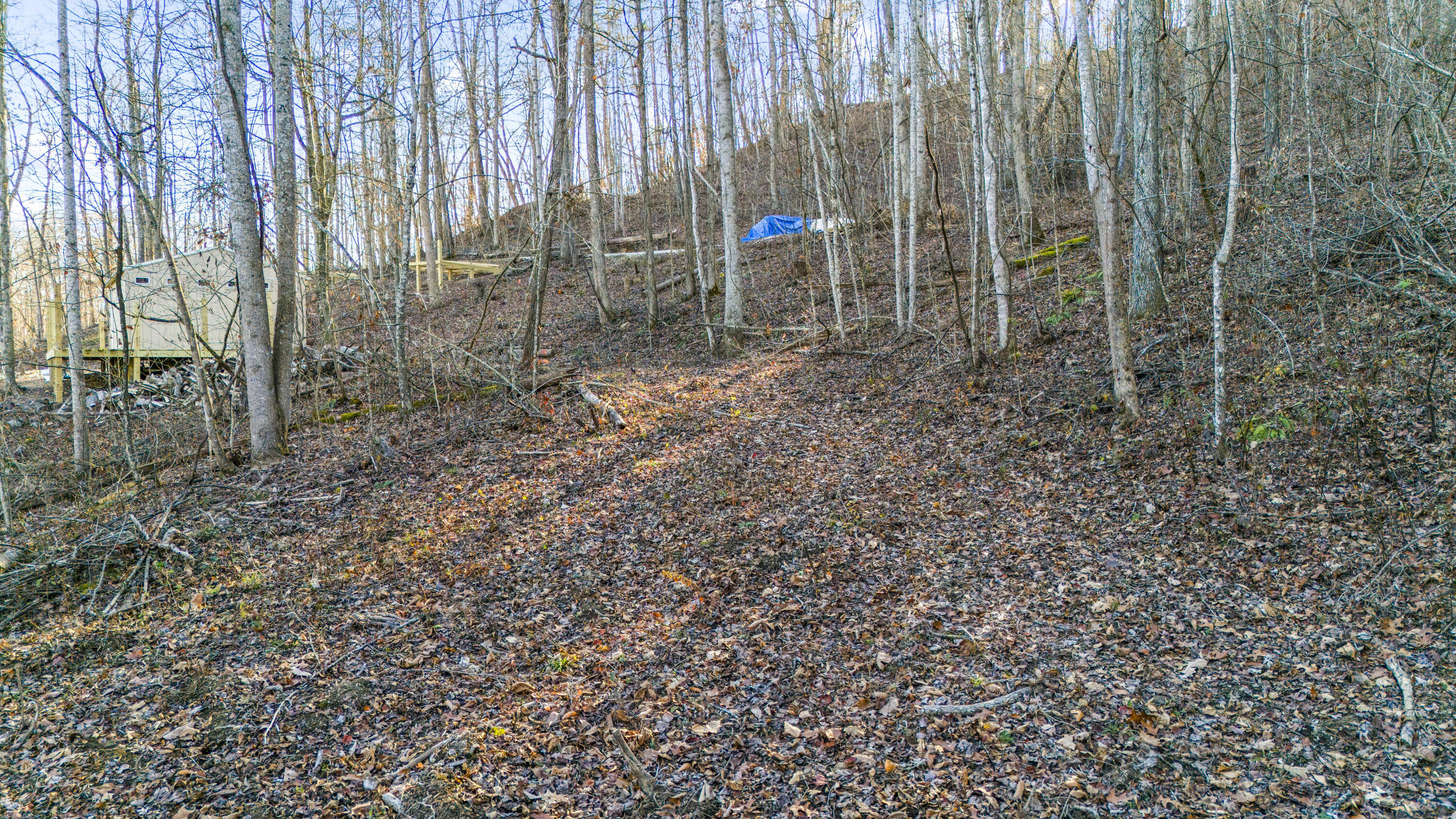 1649 High Rock Road Property Photo 19