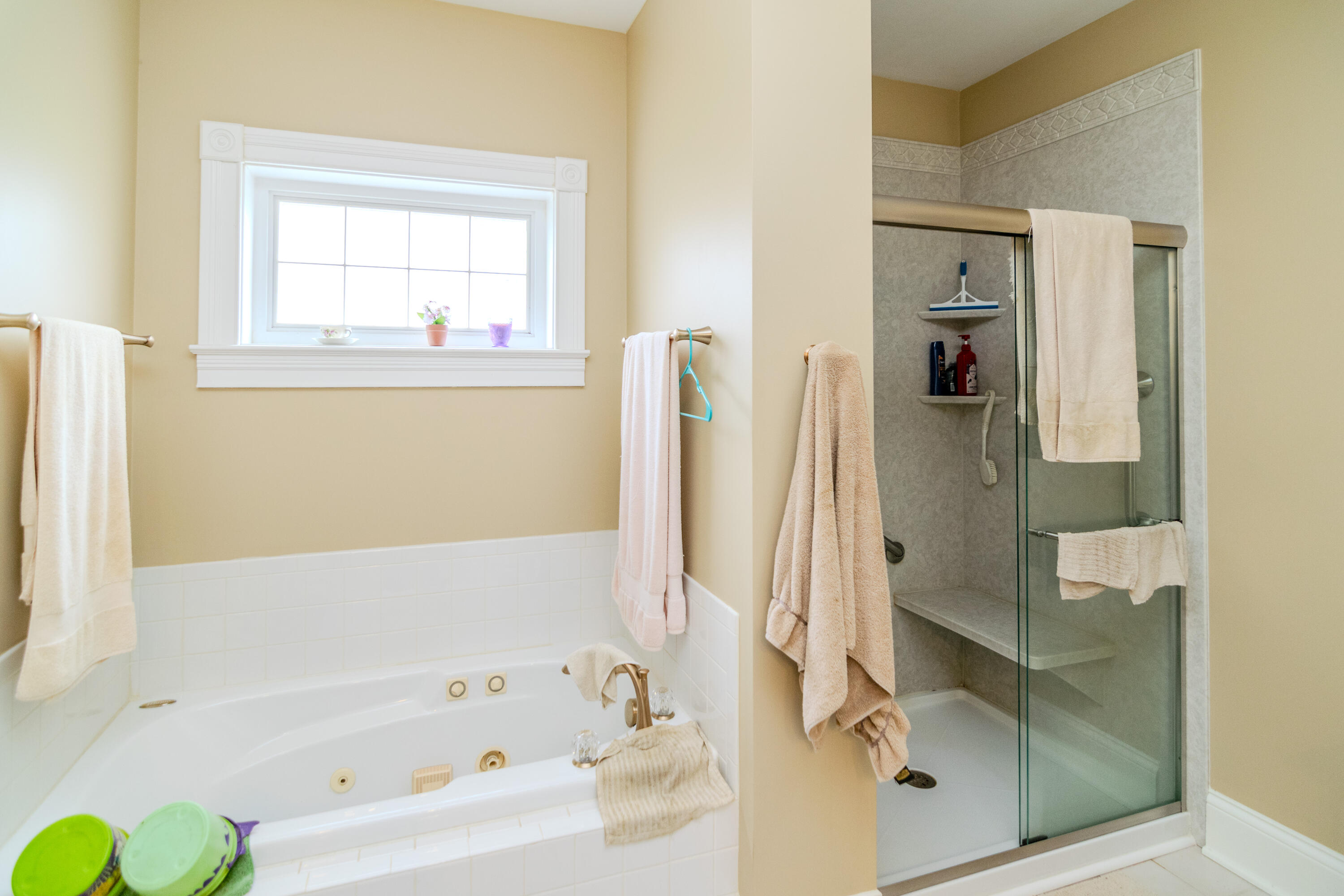 110 Saratoga Drive Property Photo 66