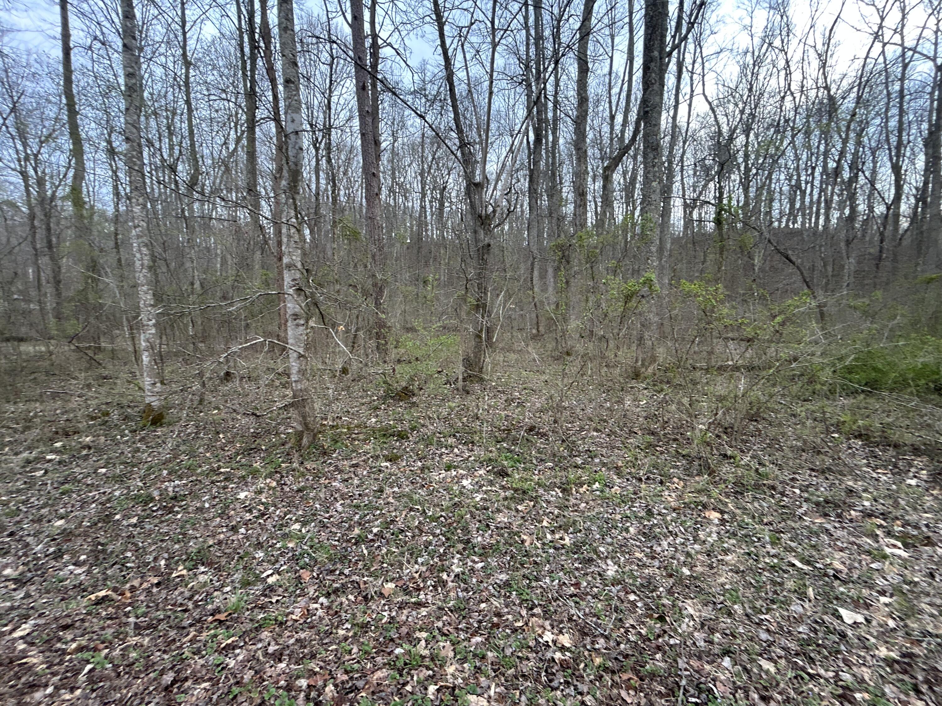 70 Millstone Road Property Photo 1