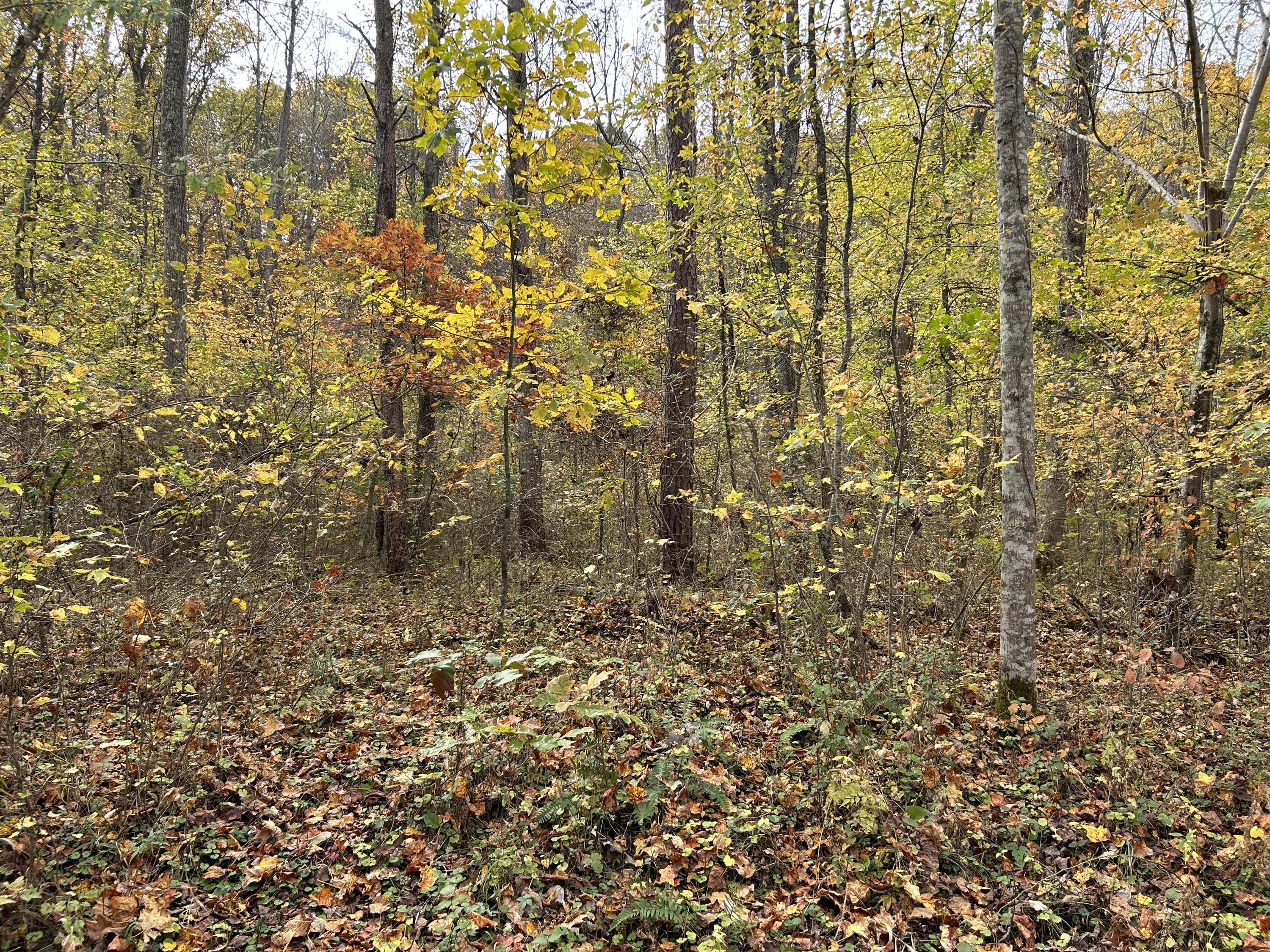 70 Millstone Road Property Photo 3