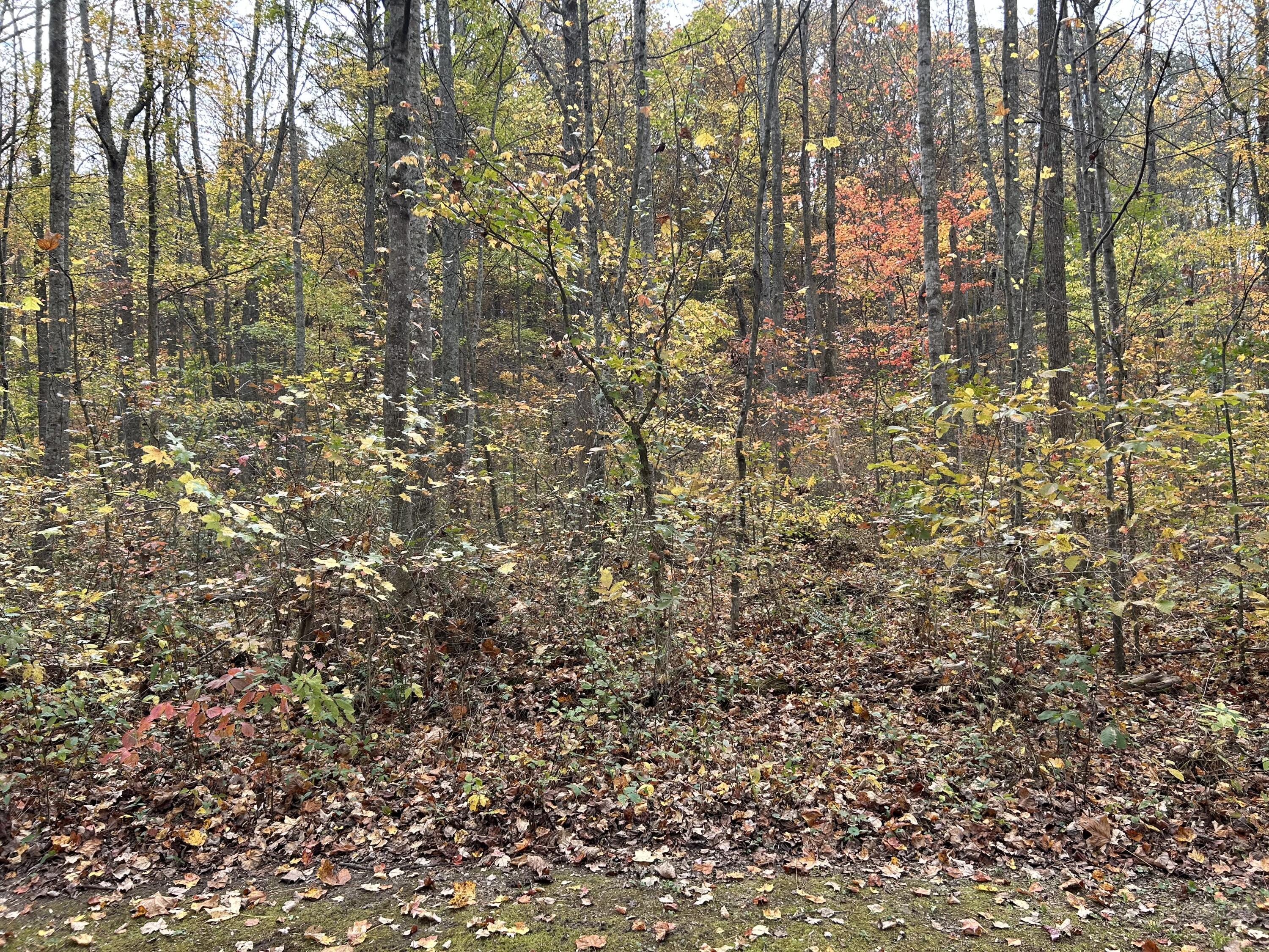 70 Millstone Road Property Photo 4