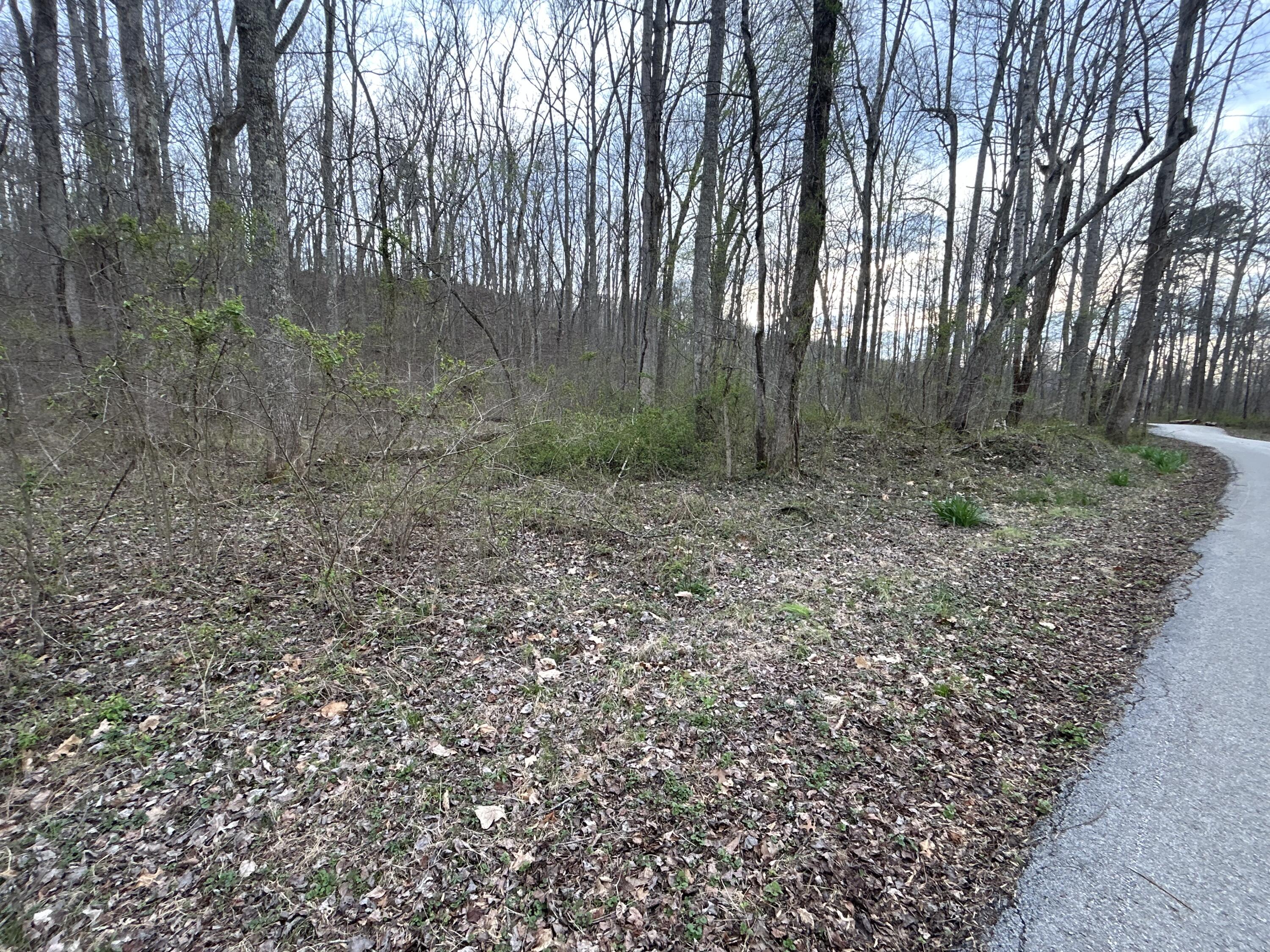 70 Millstone Road Property Photo 5