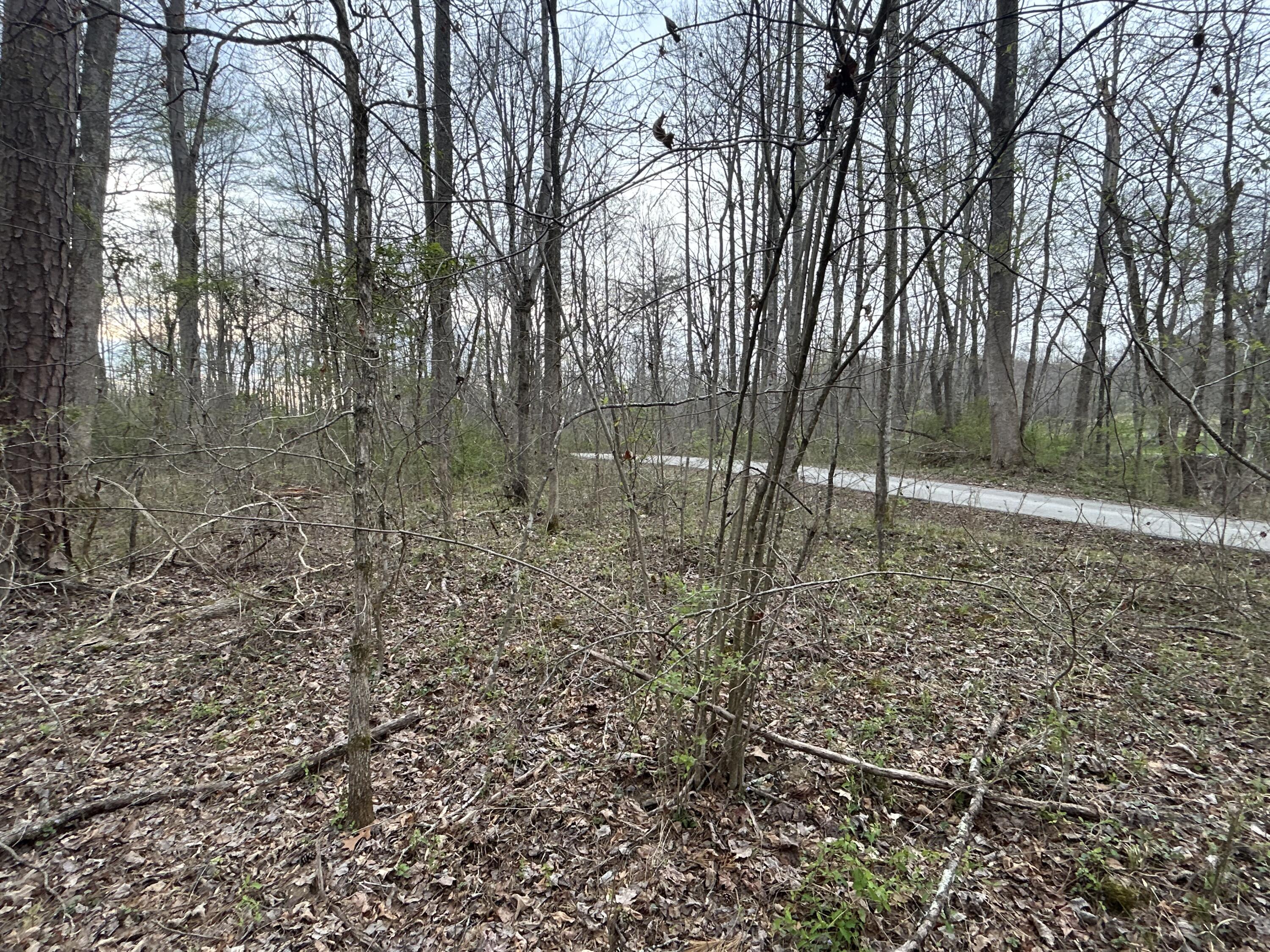 70 Millstone Road Property Photo 6