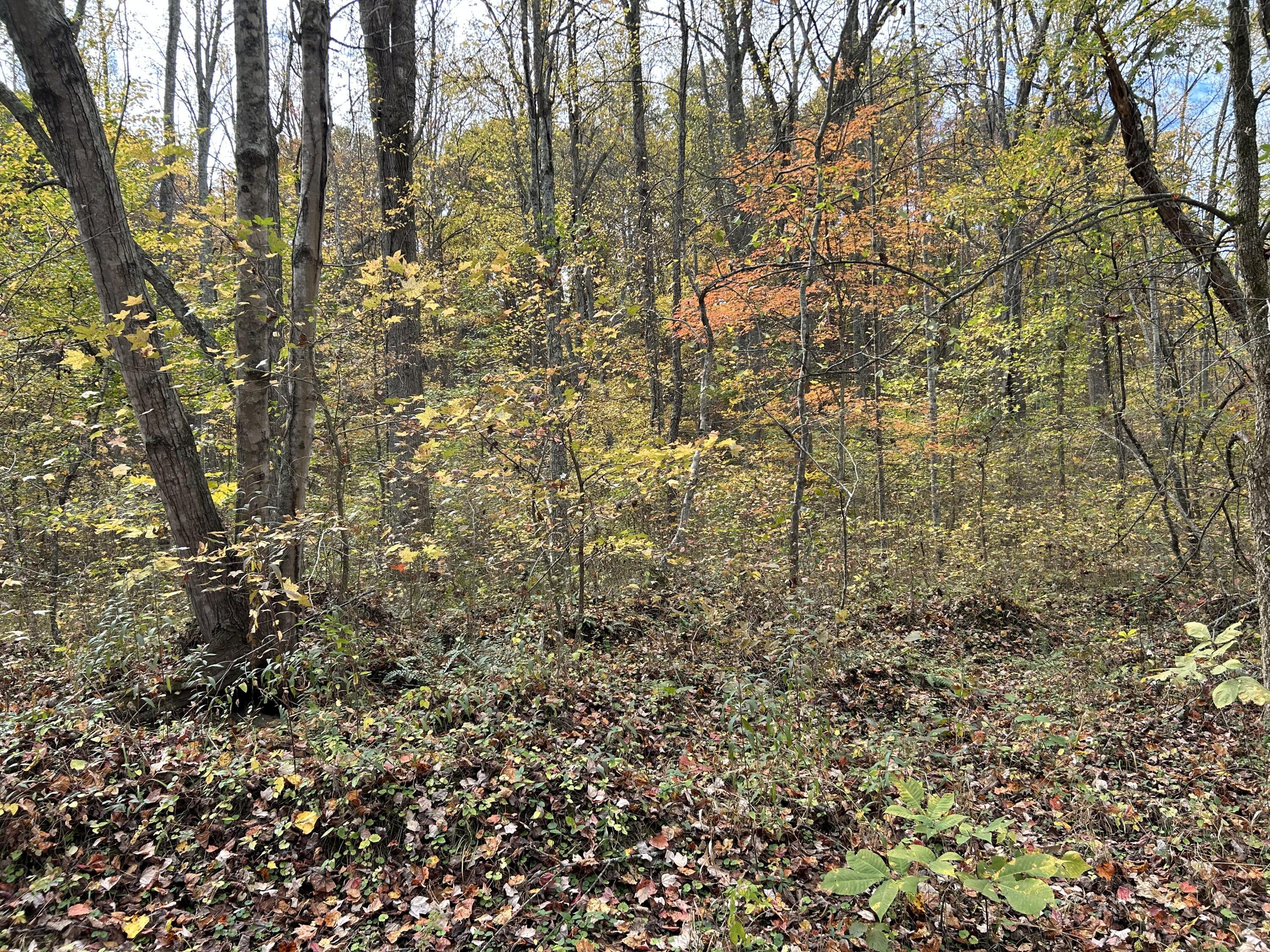 70 Millstone Road Property Photo 10