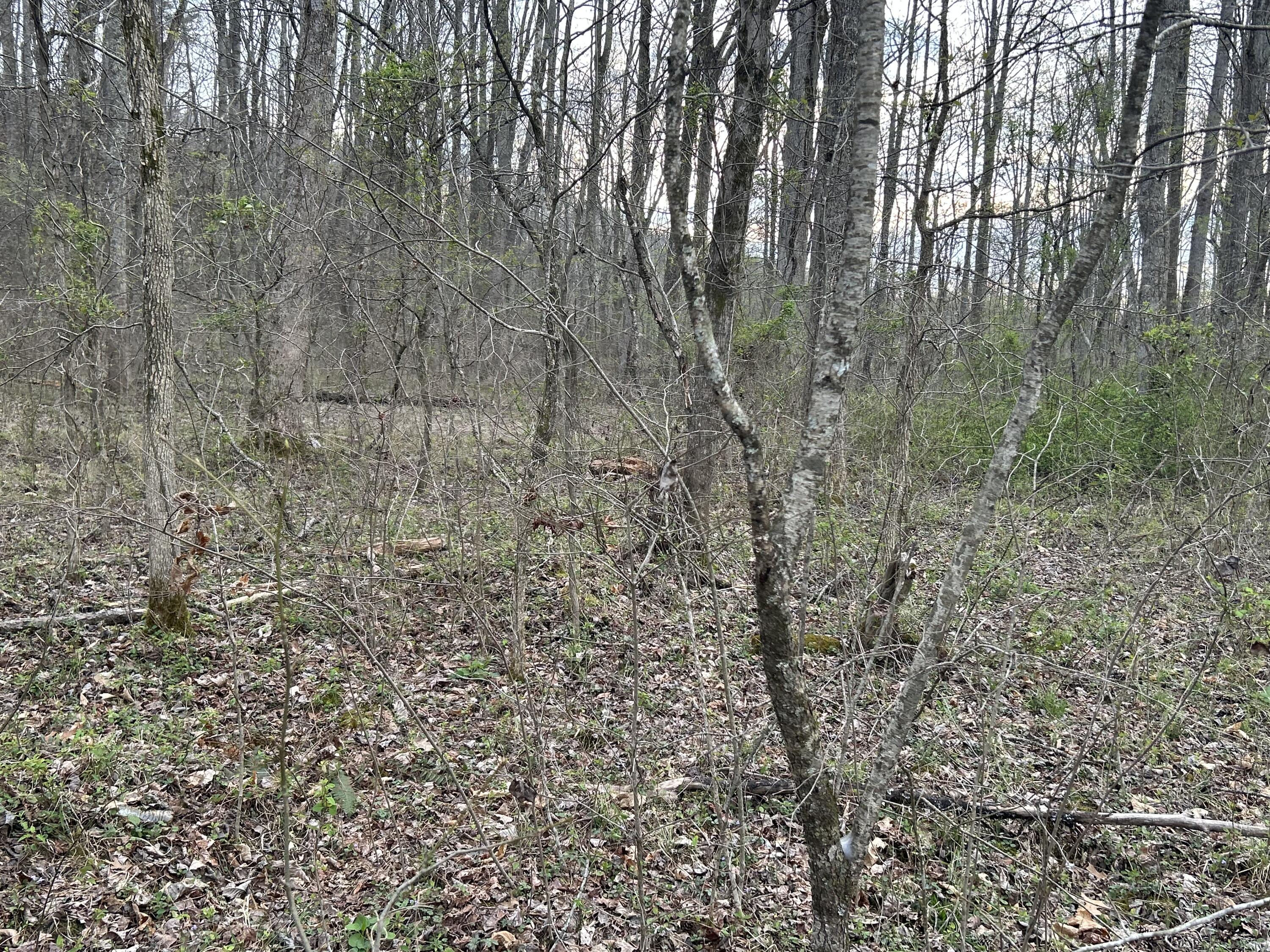 70 Millstone Road Property Photo 11