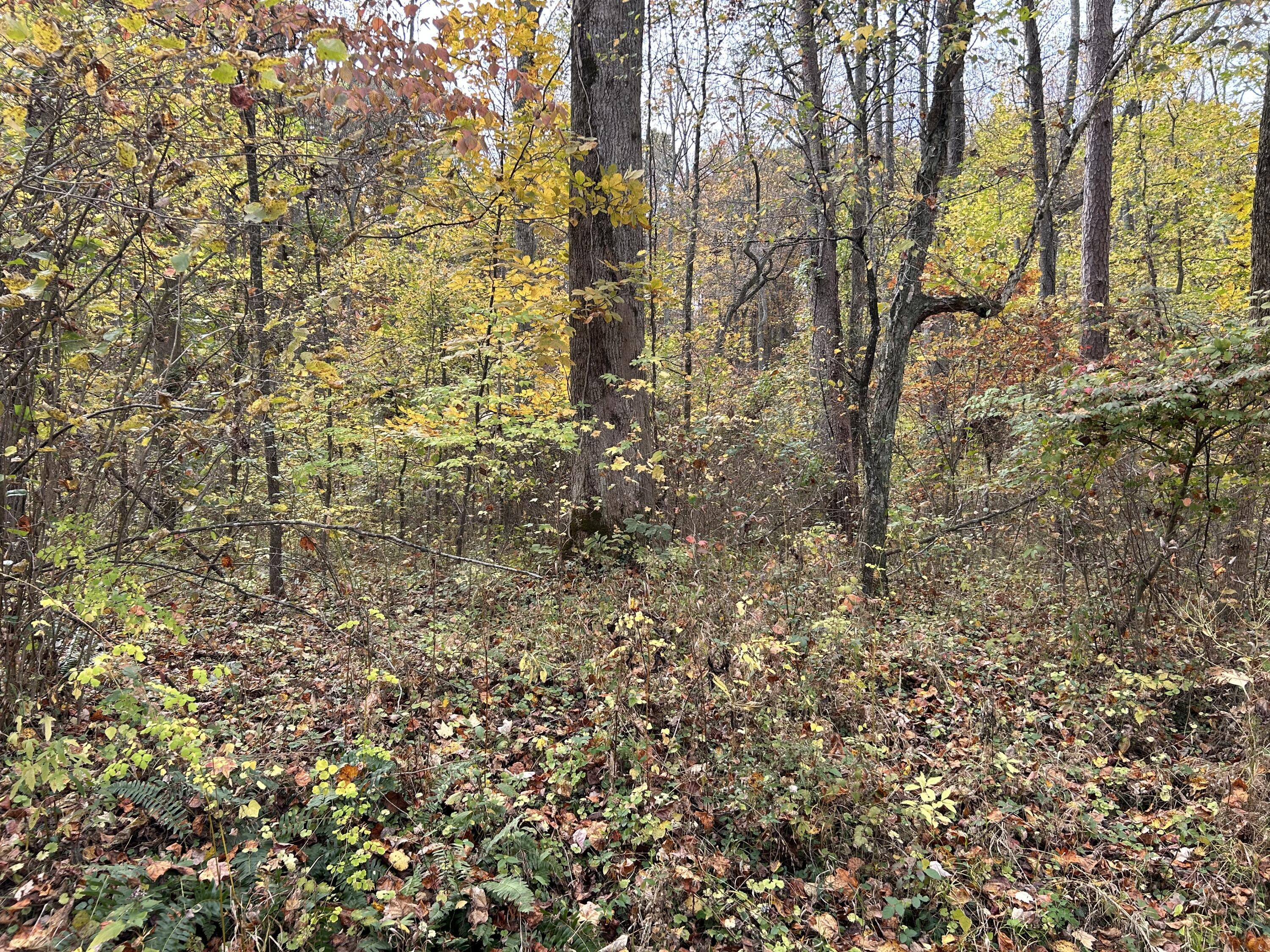 70 Millstone Road Property Photo 13