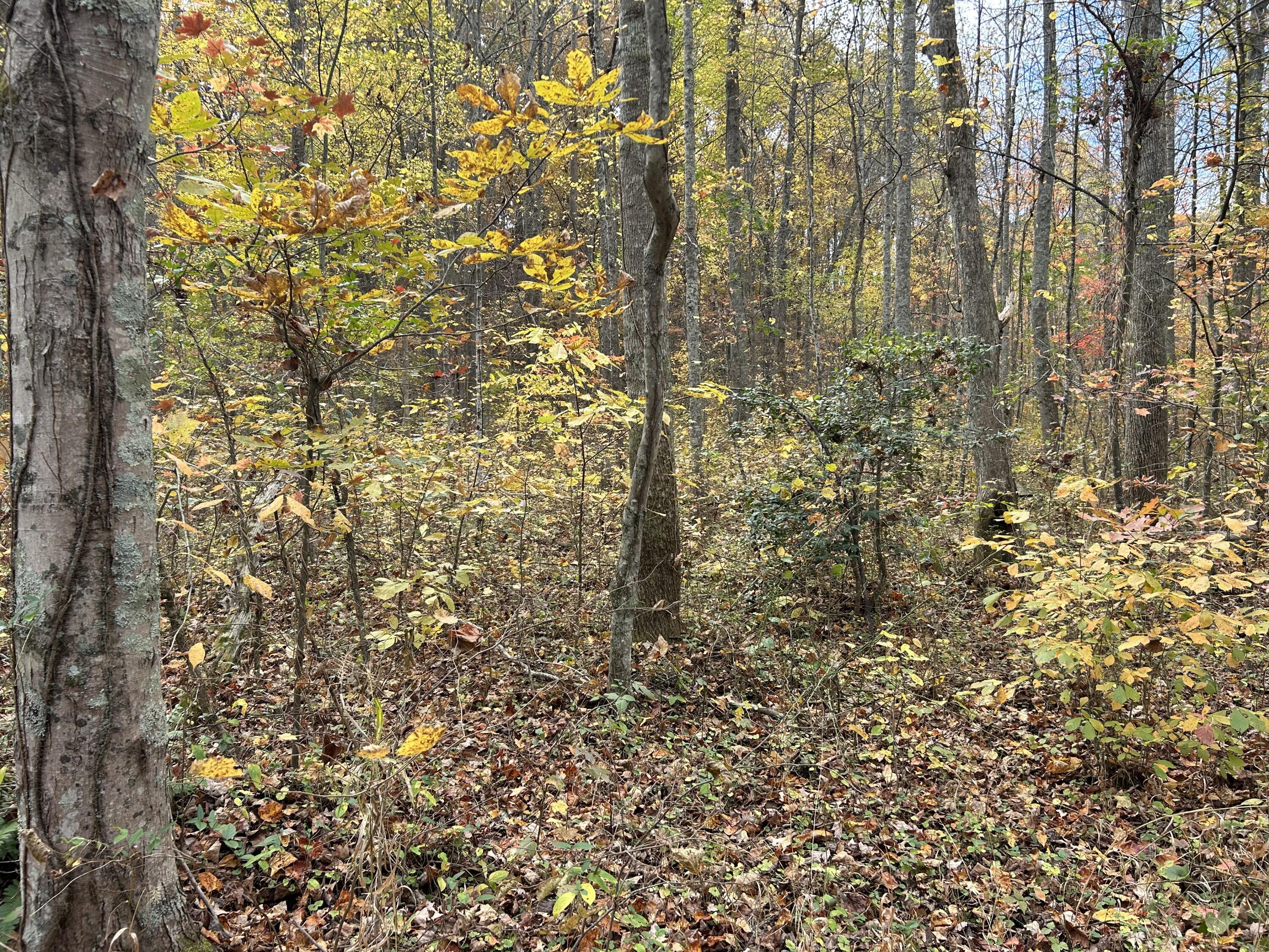70 Millstone Road Property Photo 15