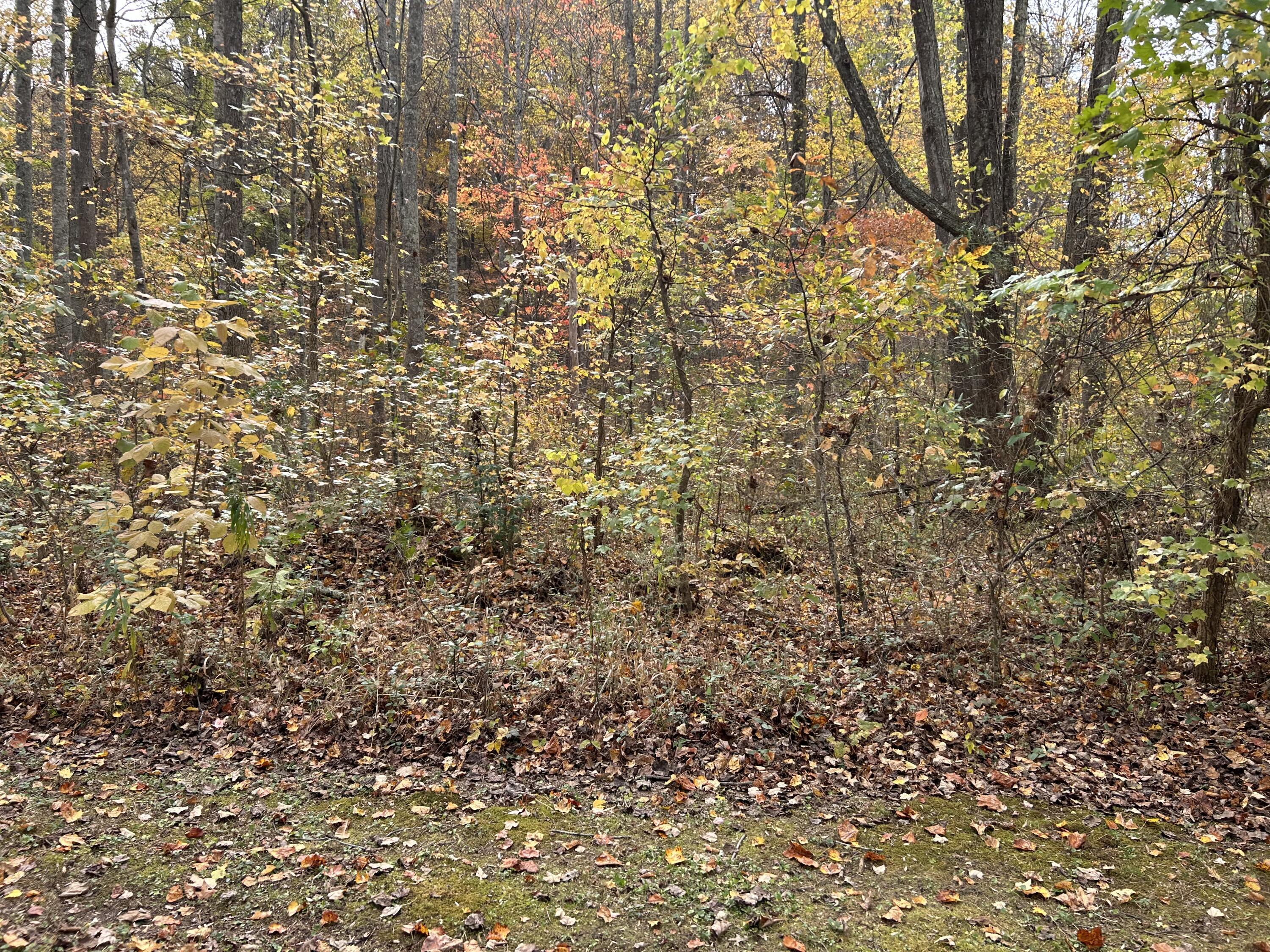 70 Millstone Road Property Photo 16