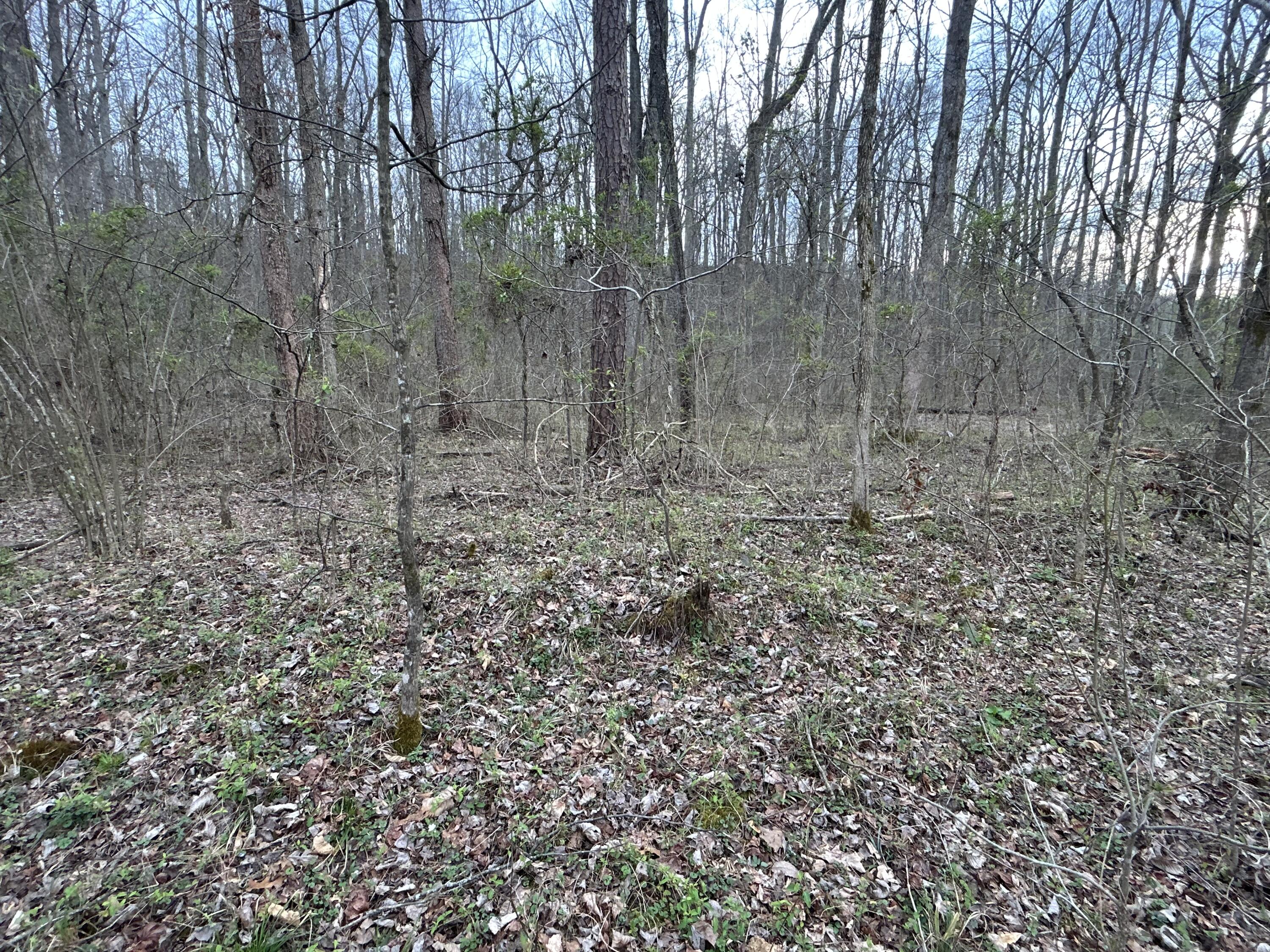 70 Millstone Road Property Photo 17