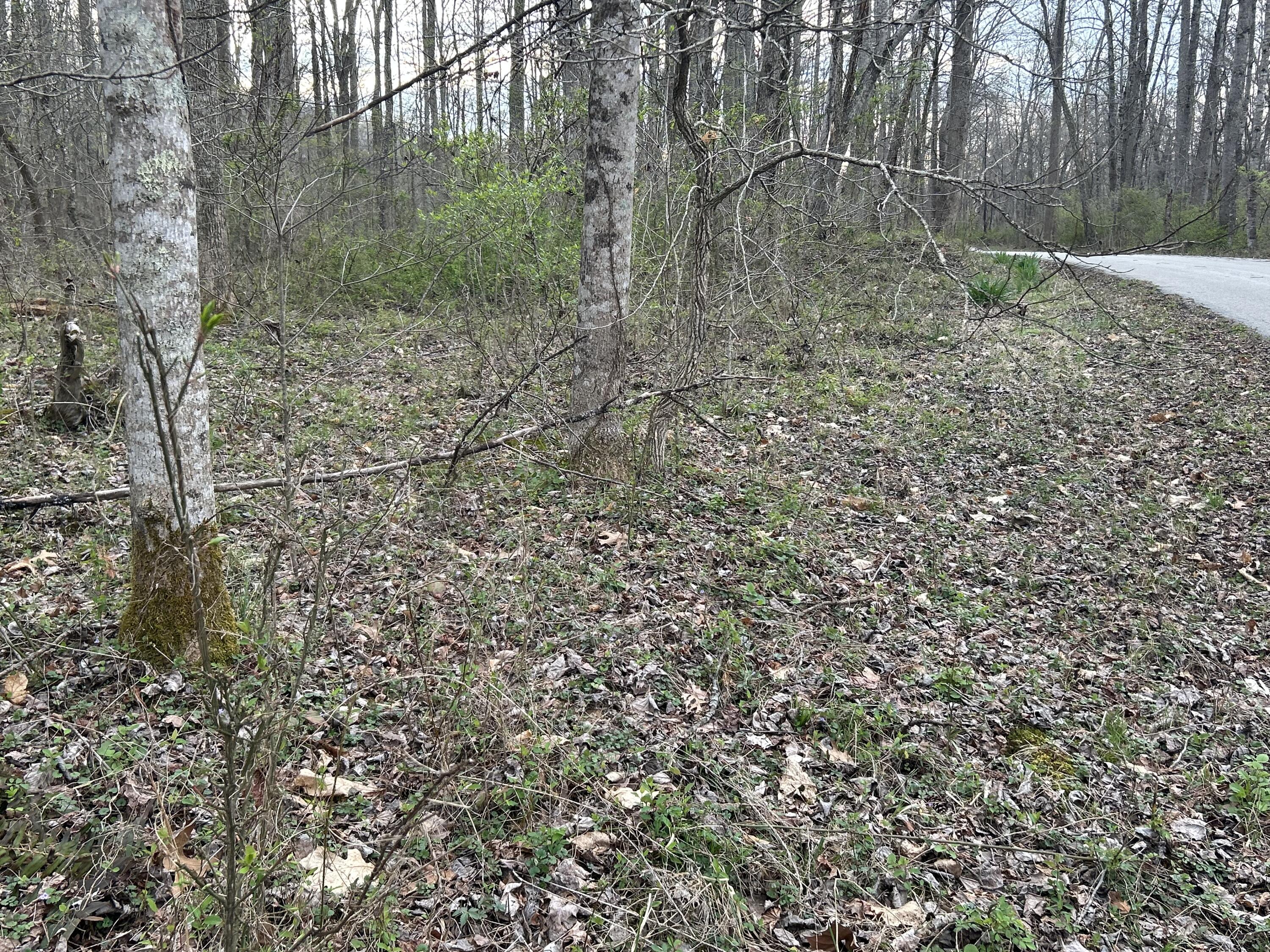 70 Millstone Road Property Photo 20