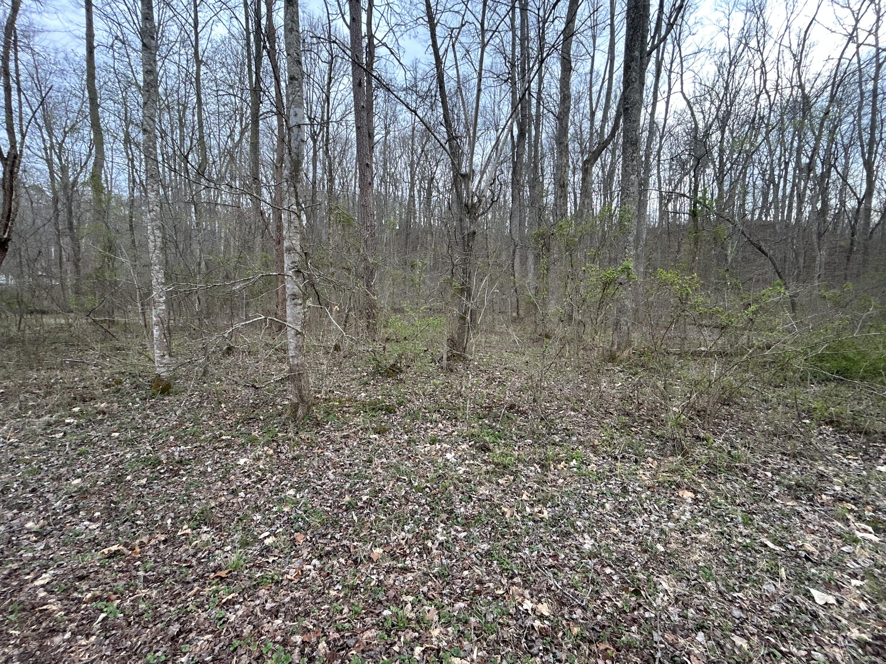 70 Millstone Road Property Photo 21