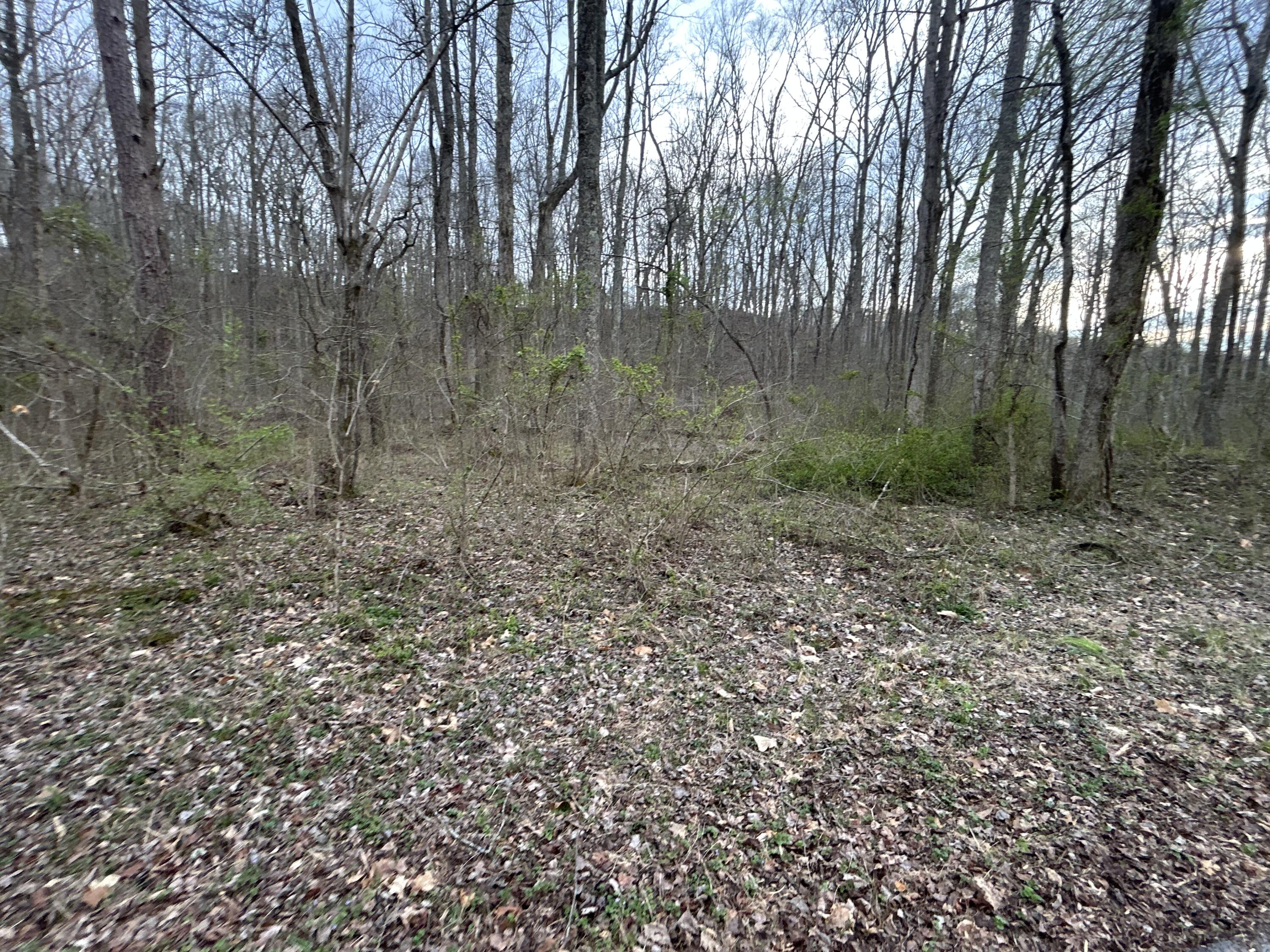 70 Millstone Road Property Photo 22