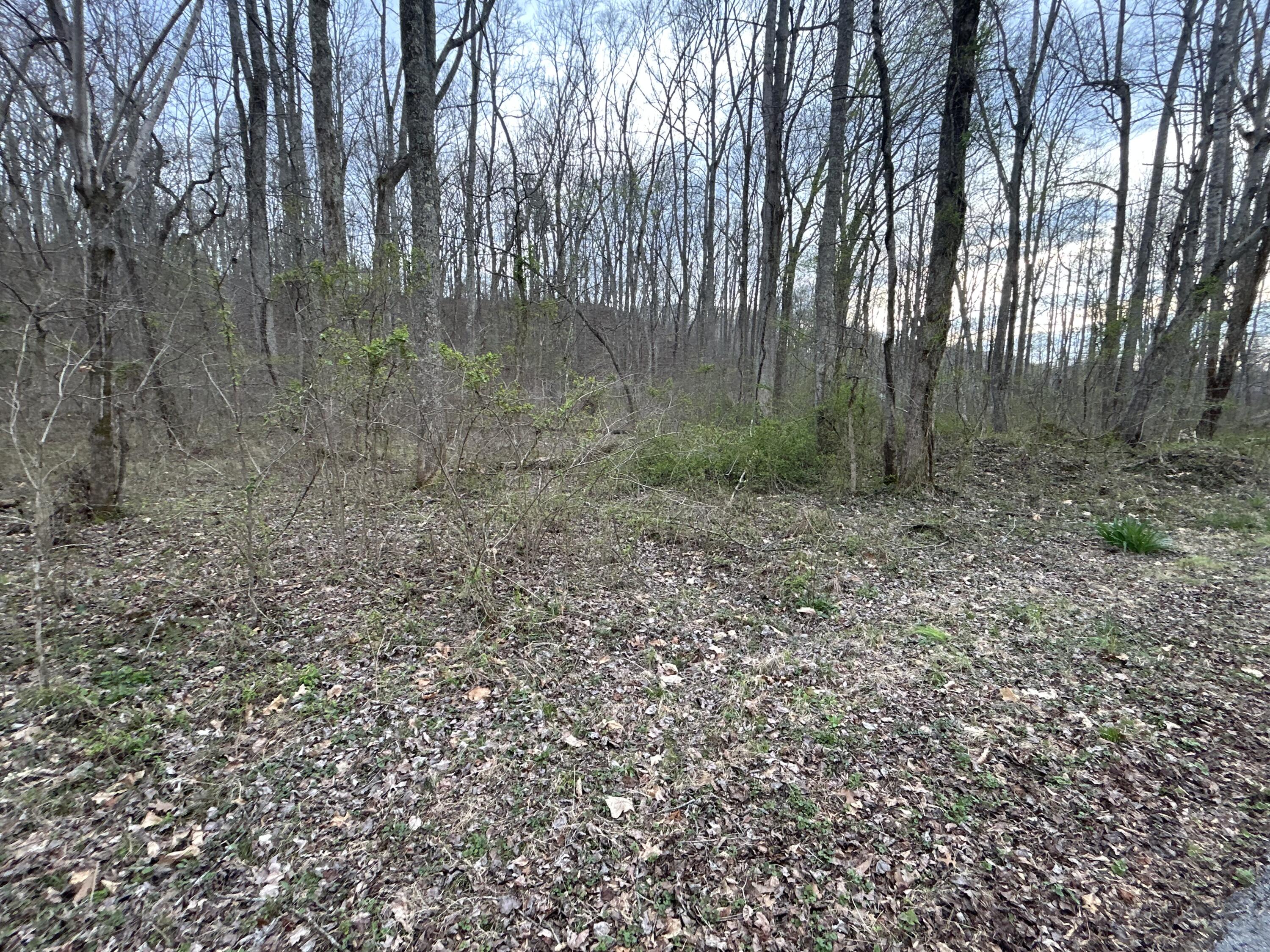 70 Millstone Road Property Photo 23
