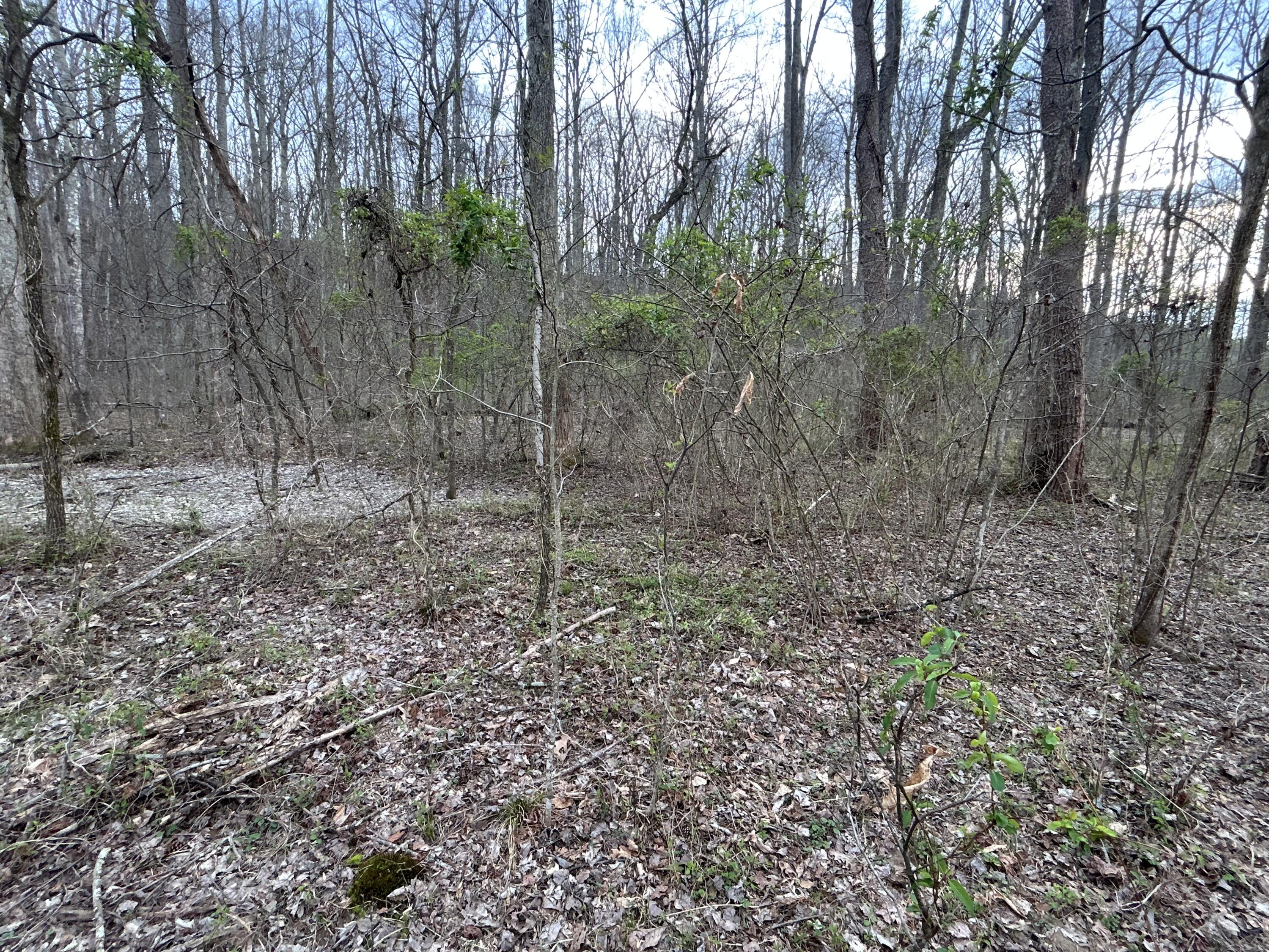 70 Millstone Road Property Photo 24