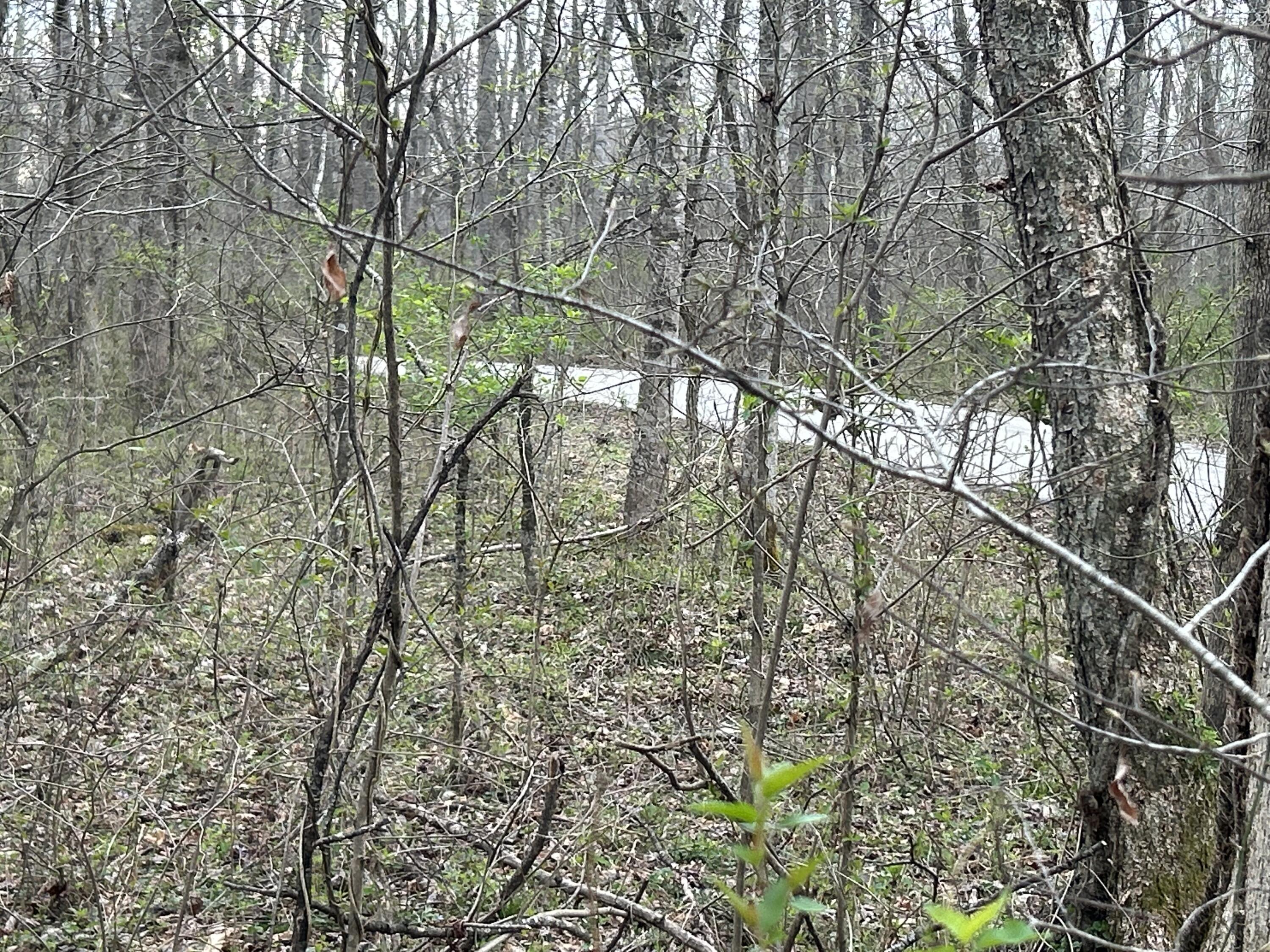 70 Millstone Road Property Photo 25