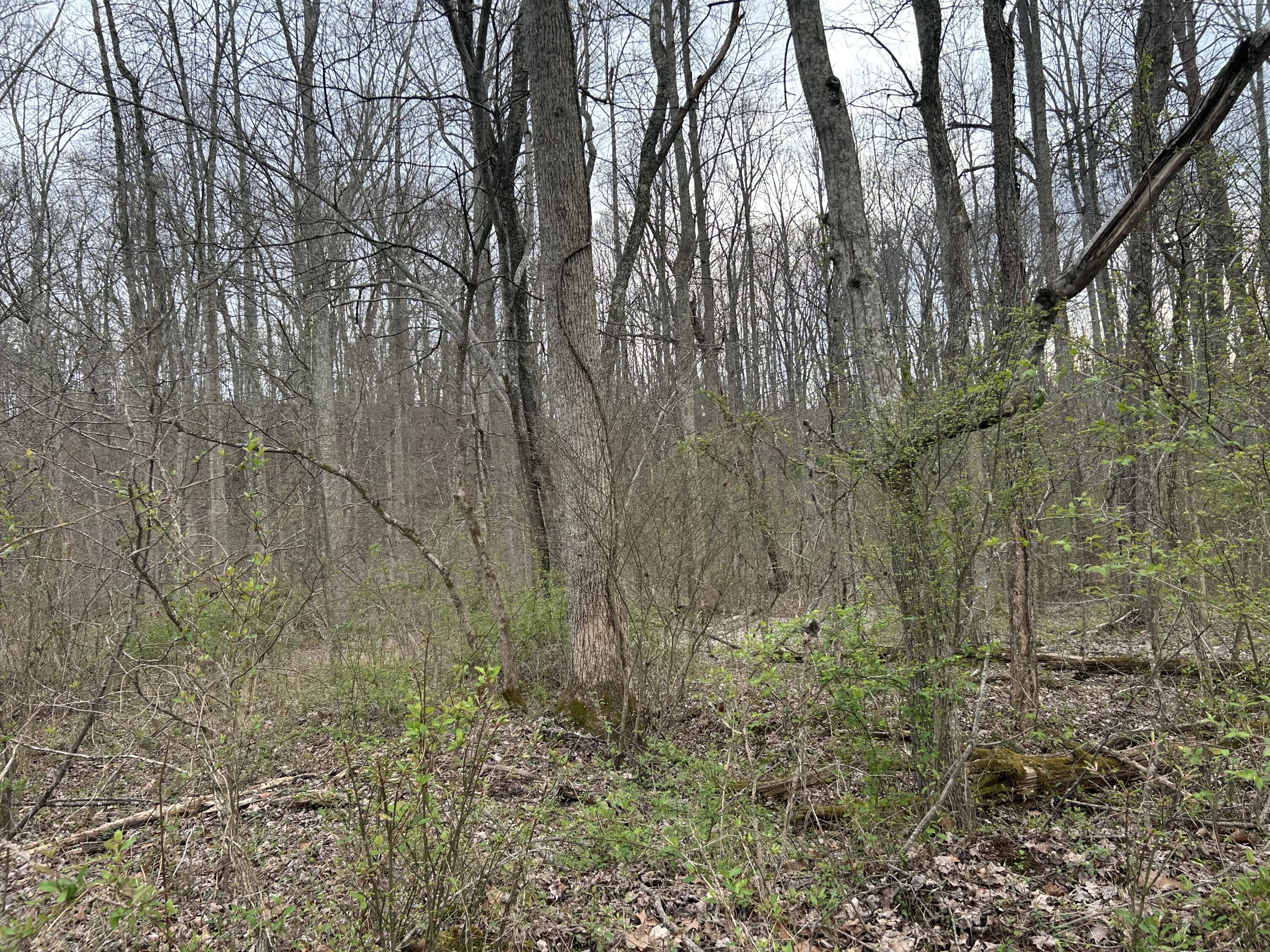 70 Millstone Road Property Photo 26