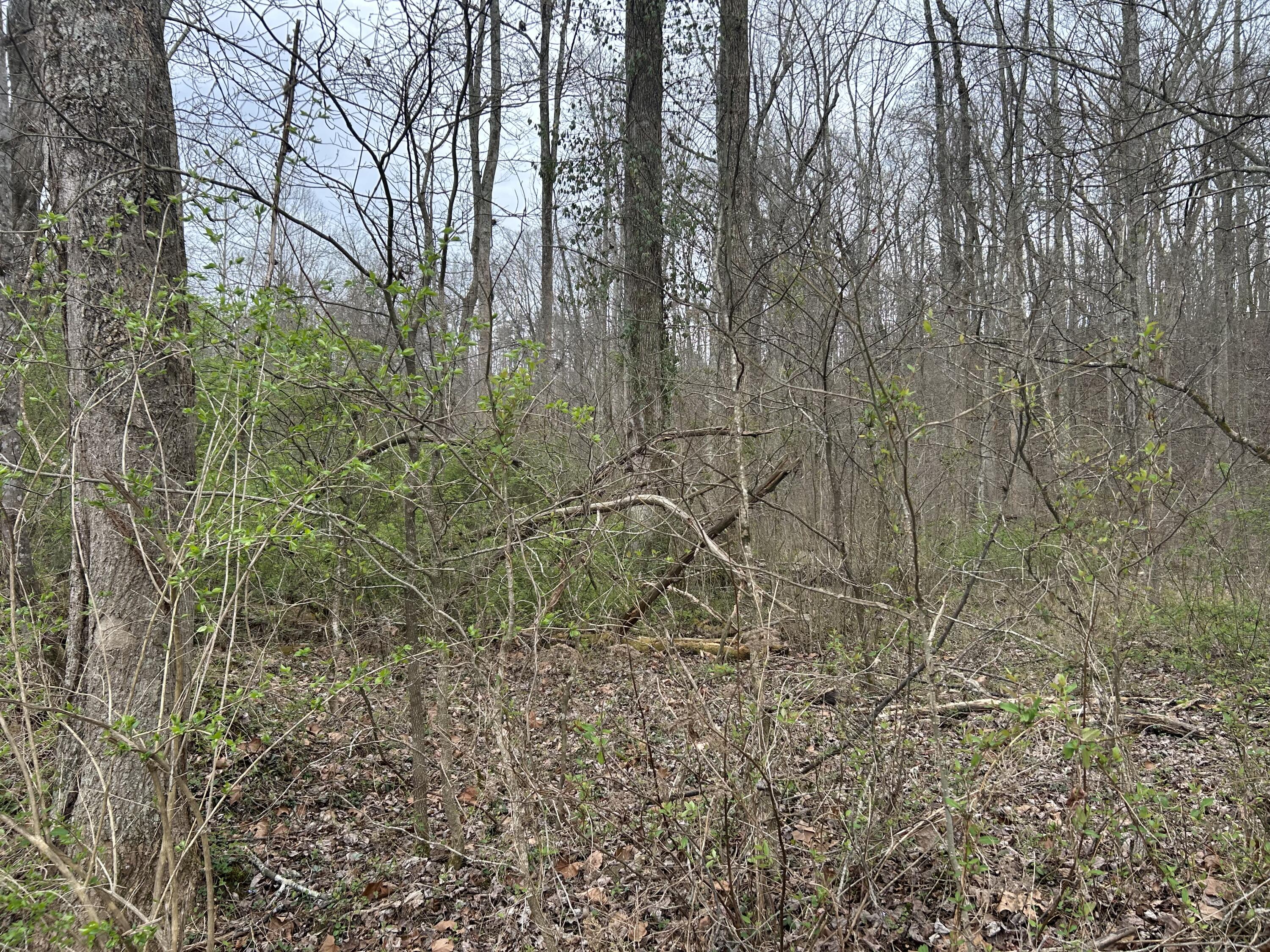 70 Millstone Road Property Photo 27