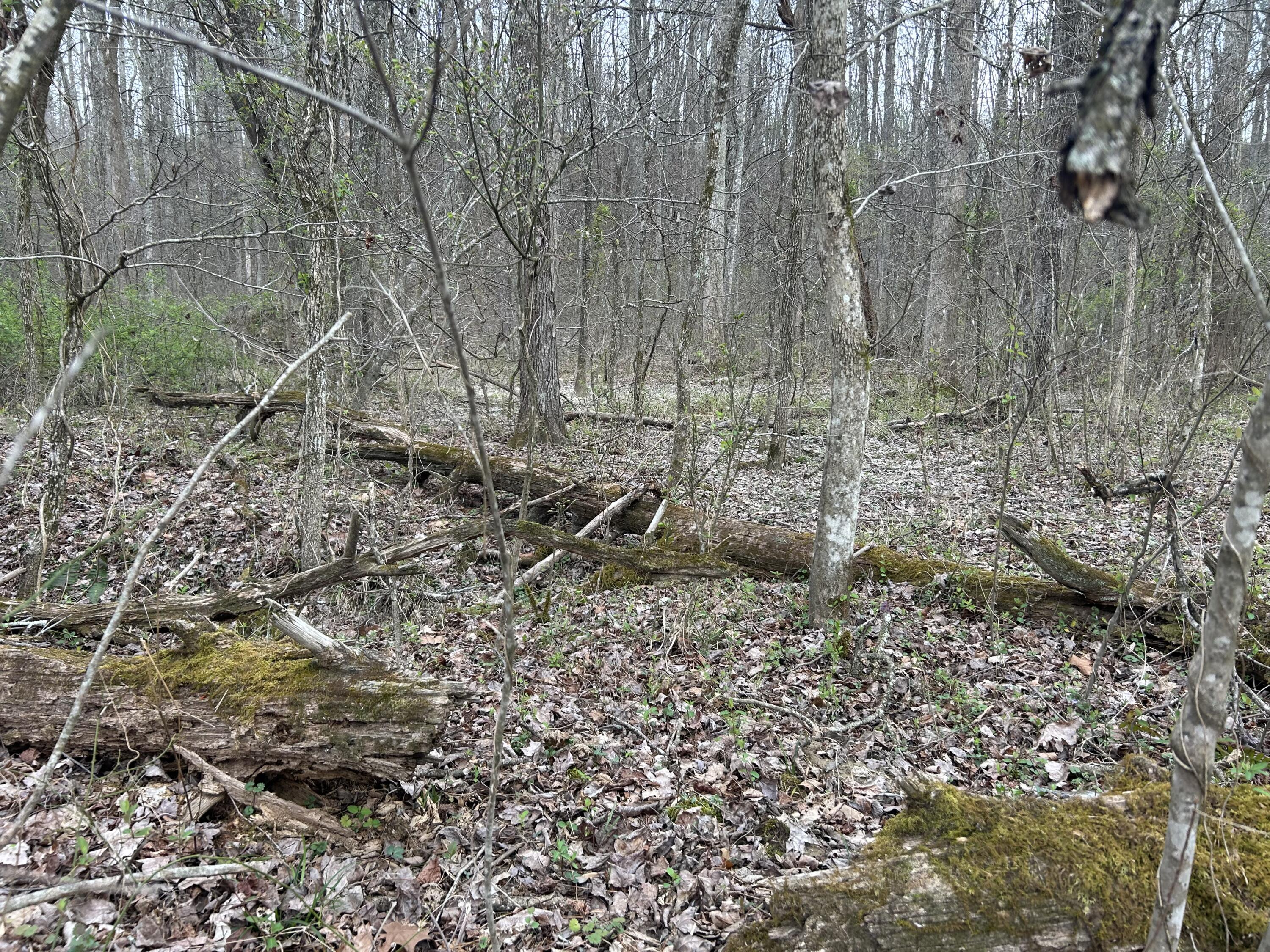70 Millstone Road Property Photo 28