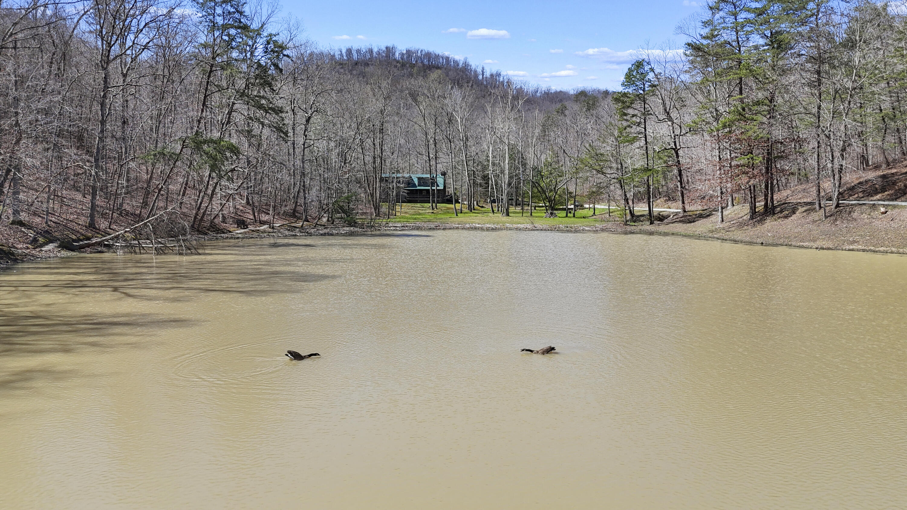 155 Chaneyville Road Property Photo 44