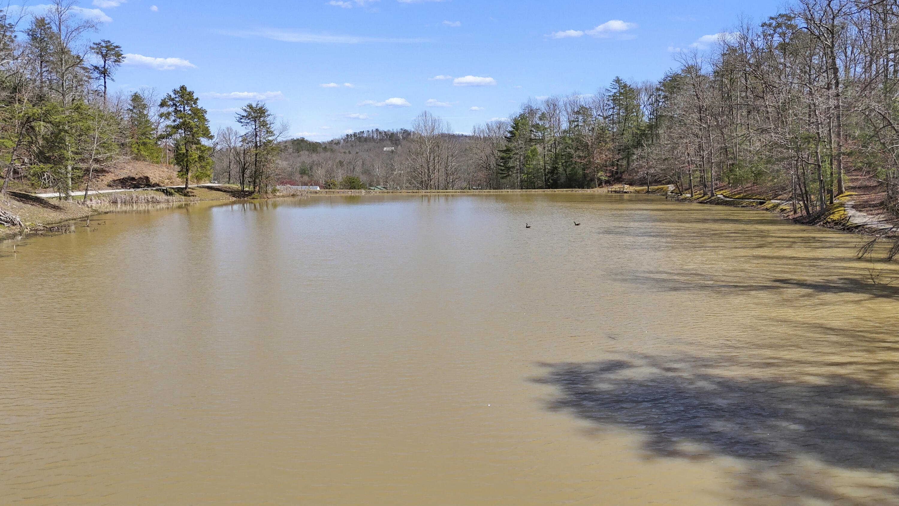 155 Chaneyville Road Property Photo 45