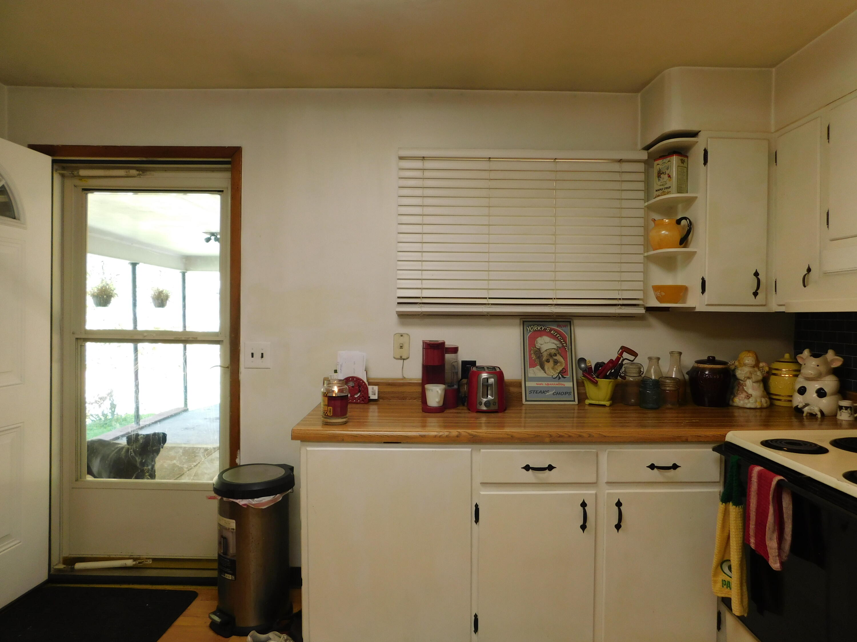 116 Wolf Hollow Road Property Photo 11