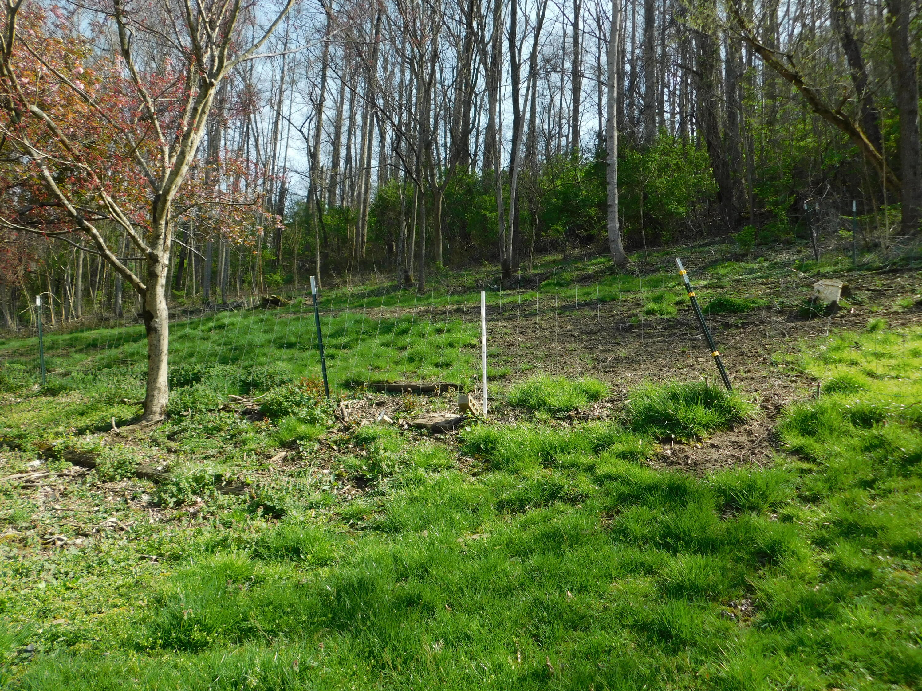 116 Wolf Hollow Road Property Photo 70