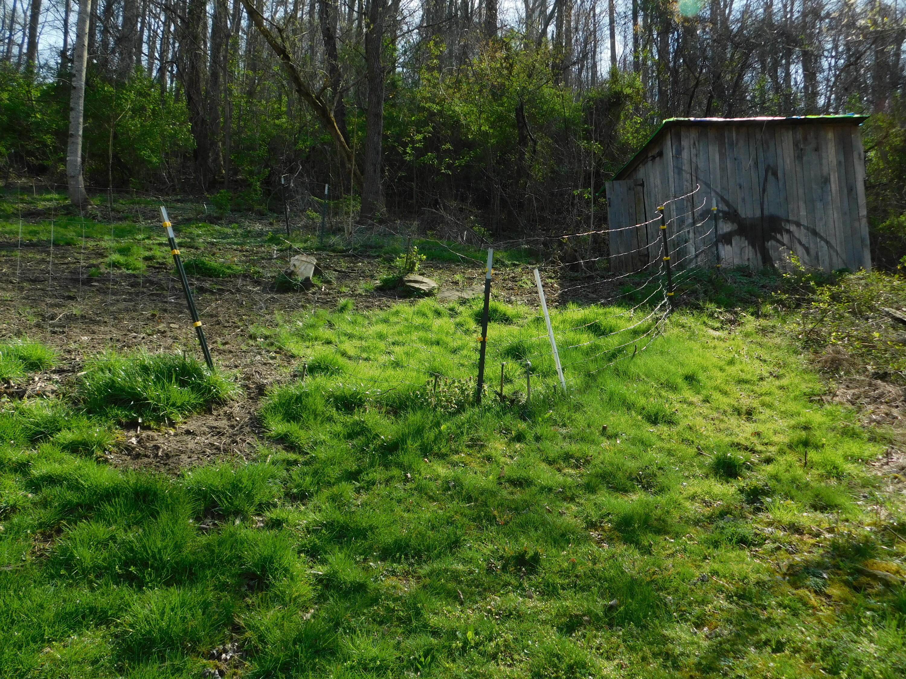 116 Wolf Hollow Road Property Photo 71