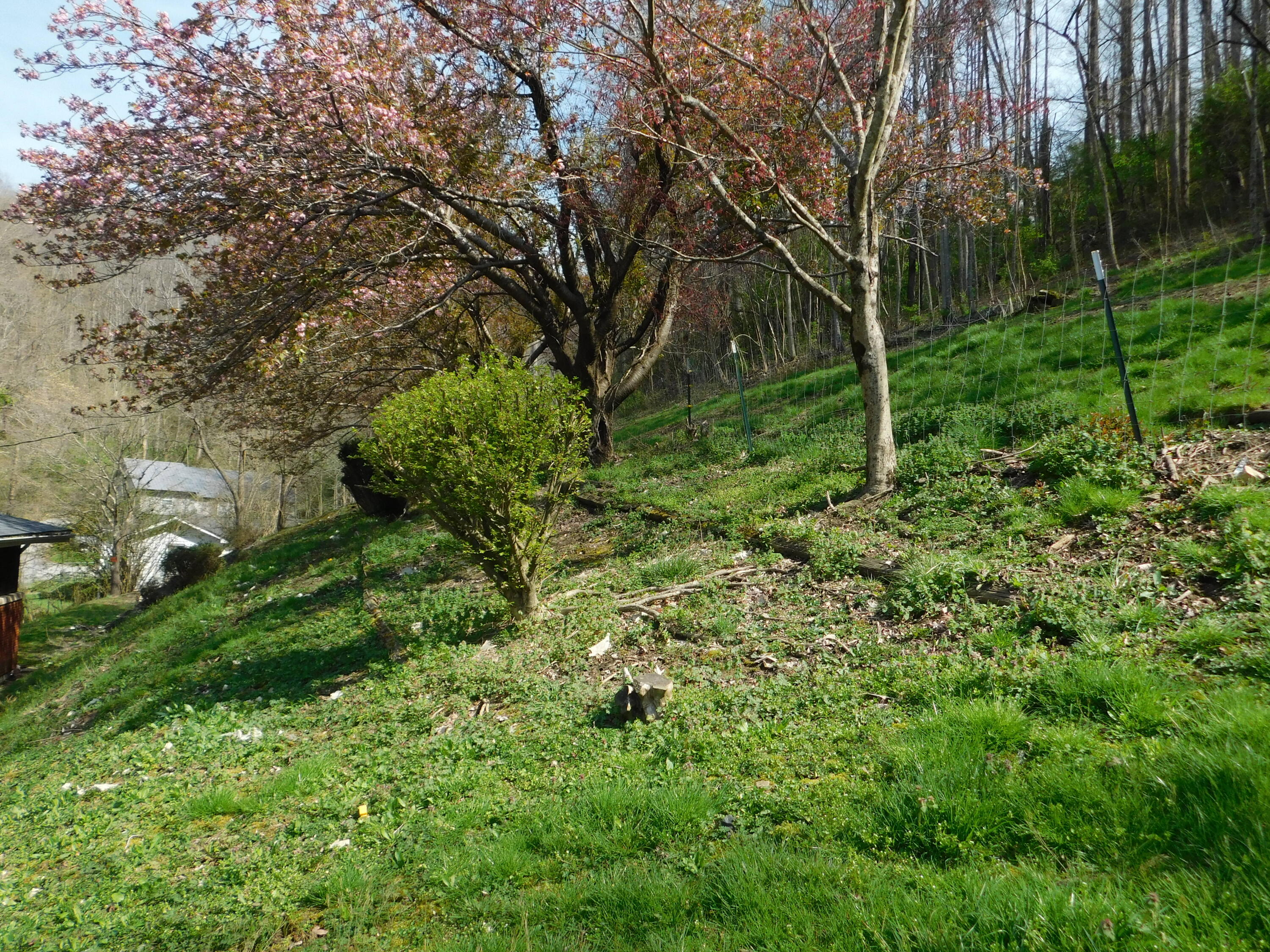 116 Wolf Hollow Road Property Photo 72