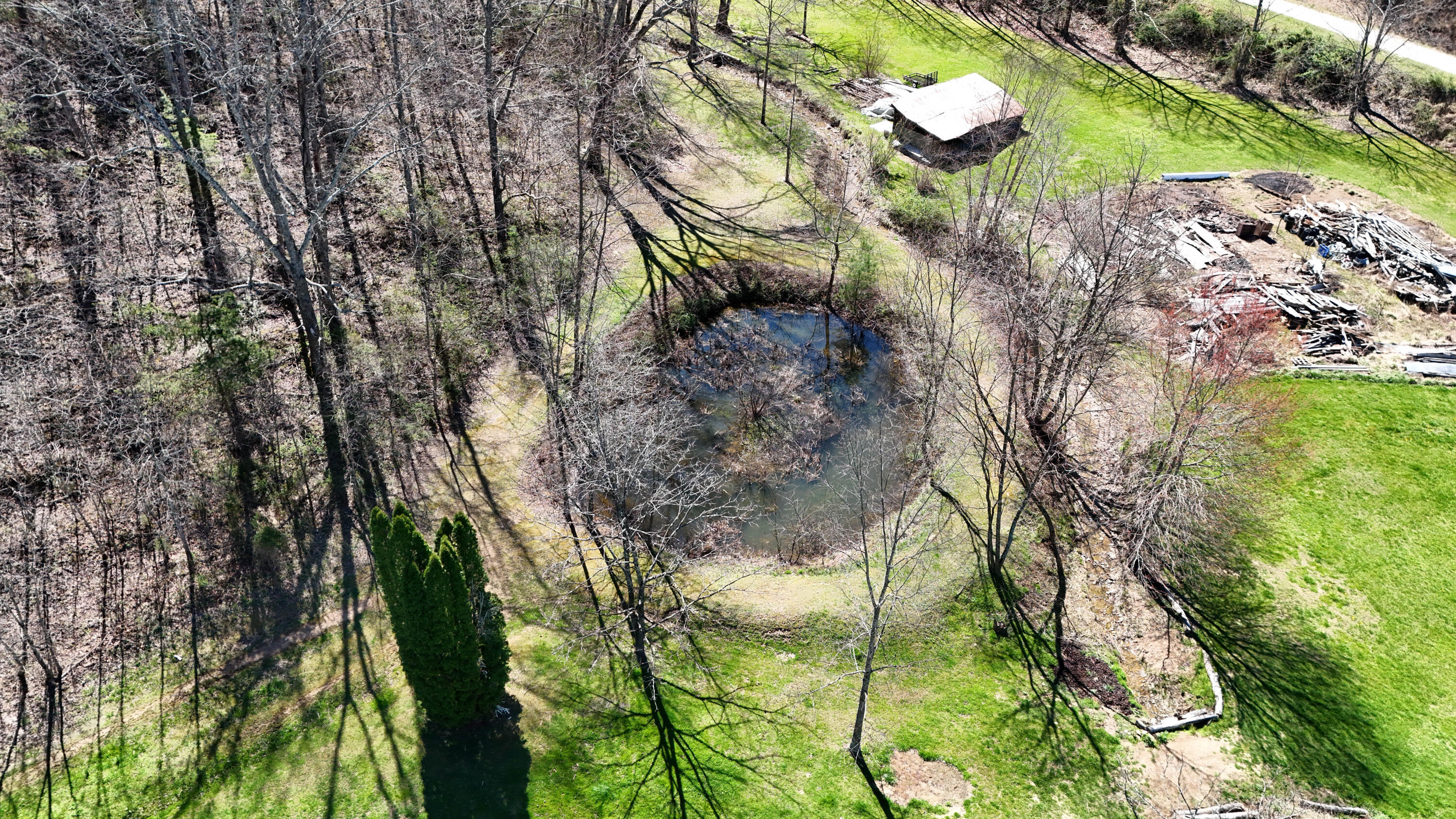 7581 Mcwhorter Road Property Photo 8