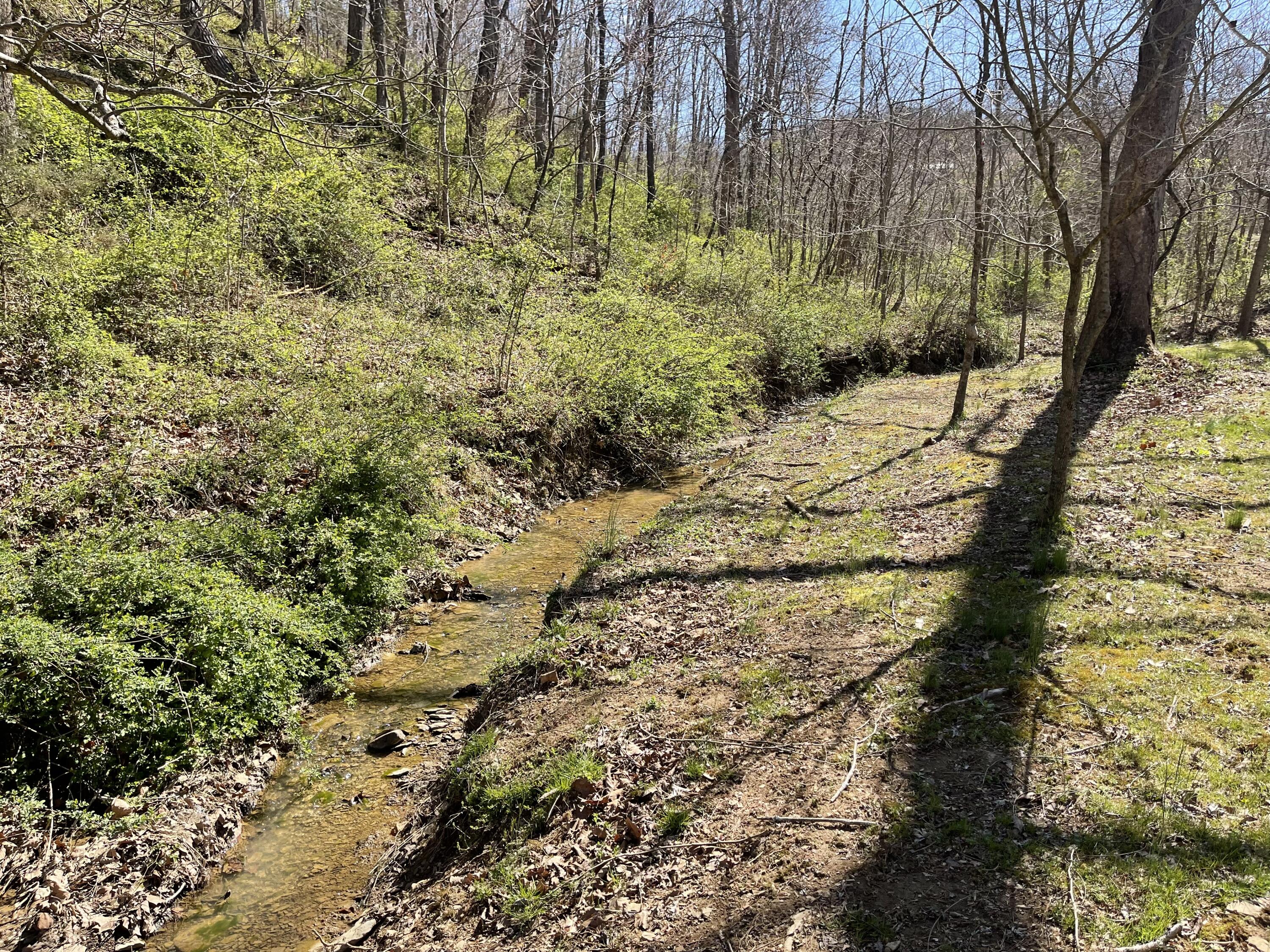 7581 Mcwhorter Road Property Photo 45