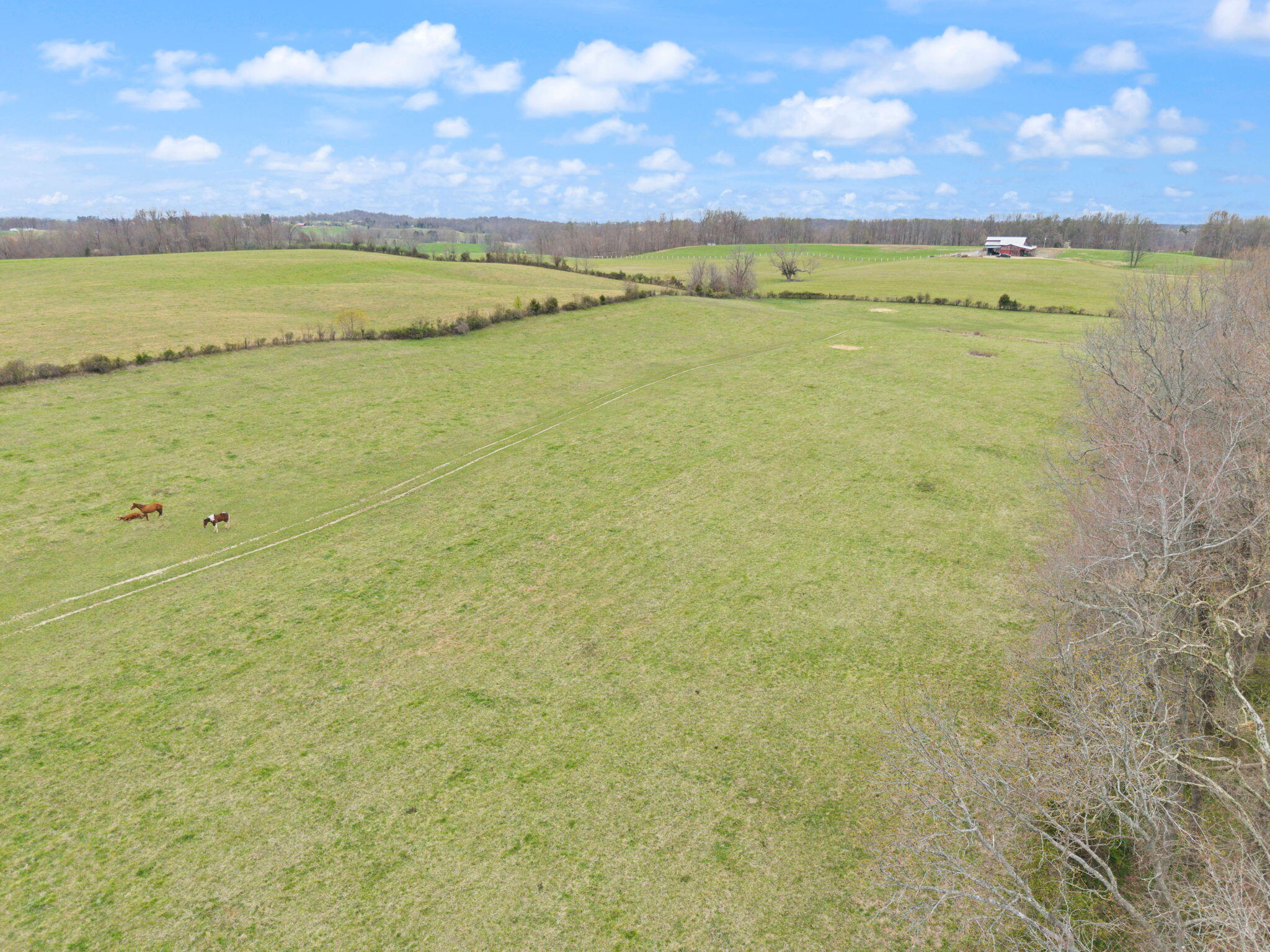 2690 Pond School Road Property Photo 3