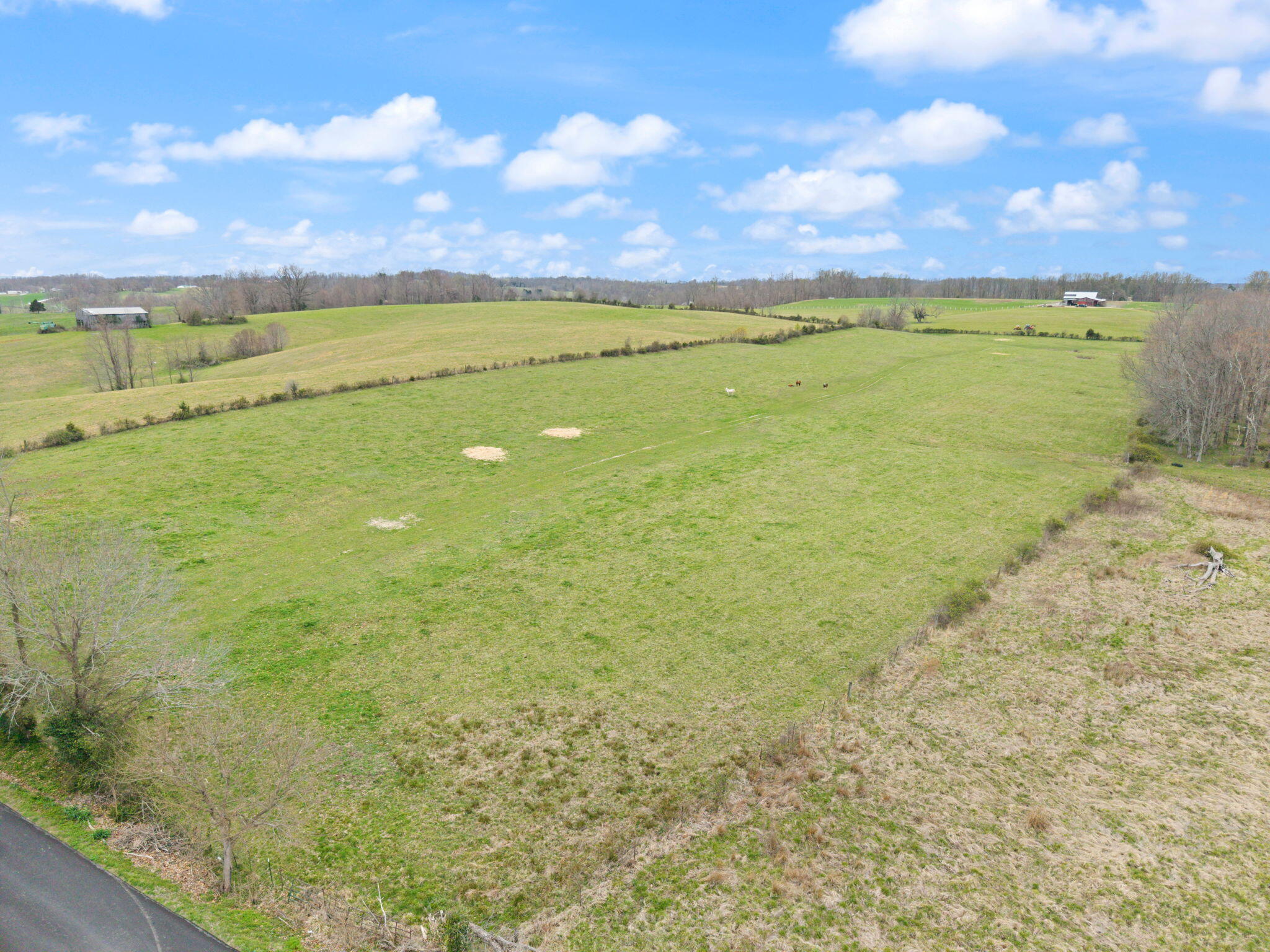2690 Pond School Road Property Photo 5