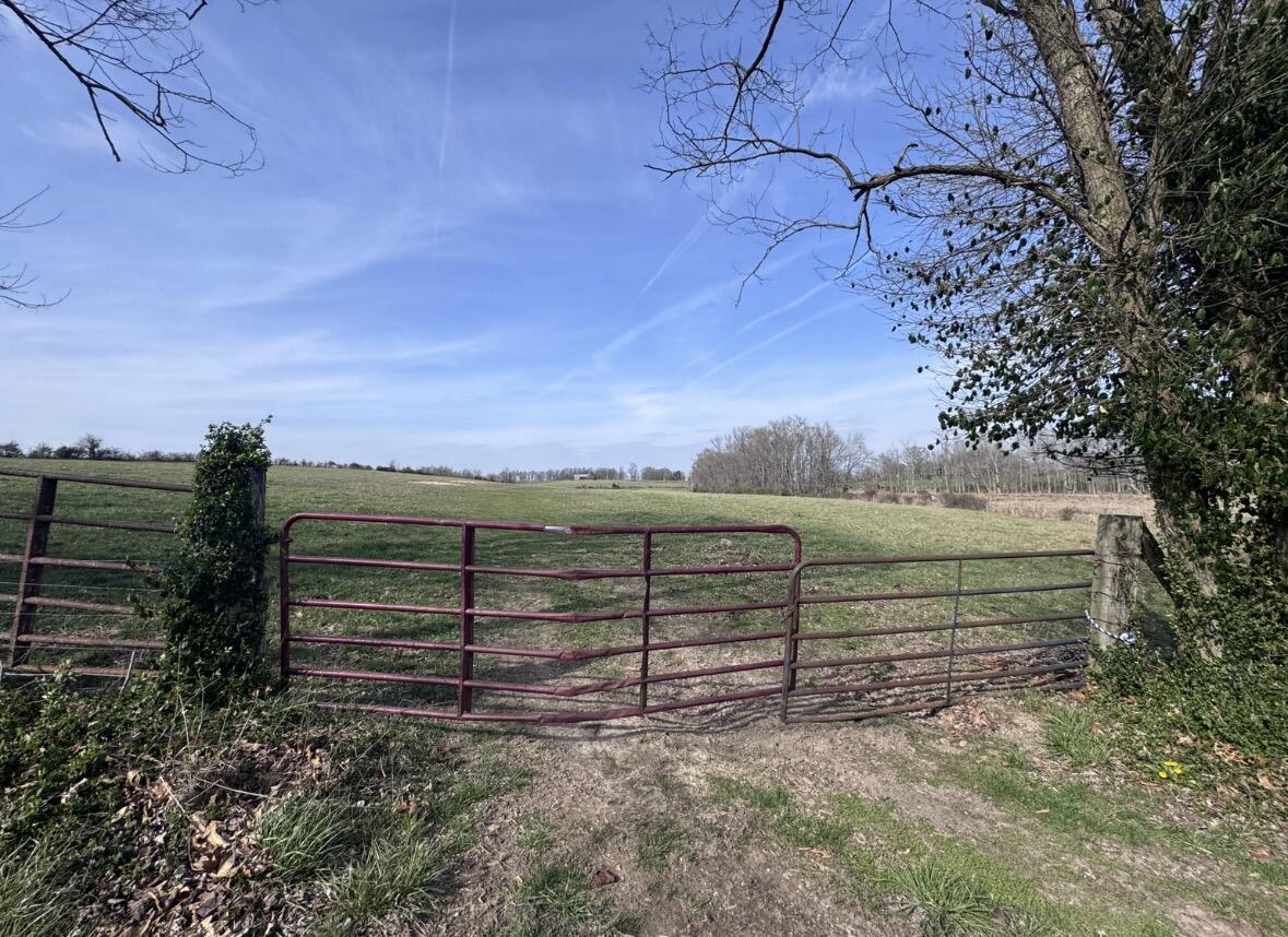 2690 Pond School Road Property Photo 8