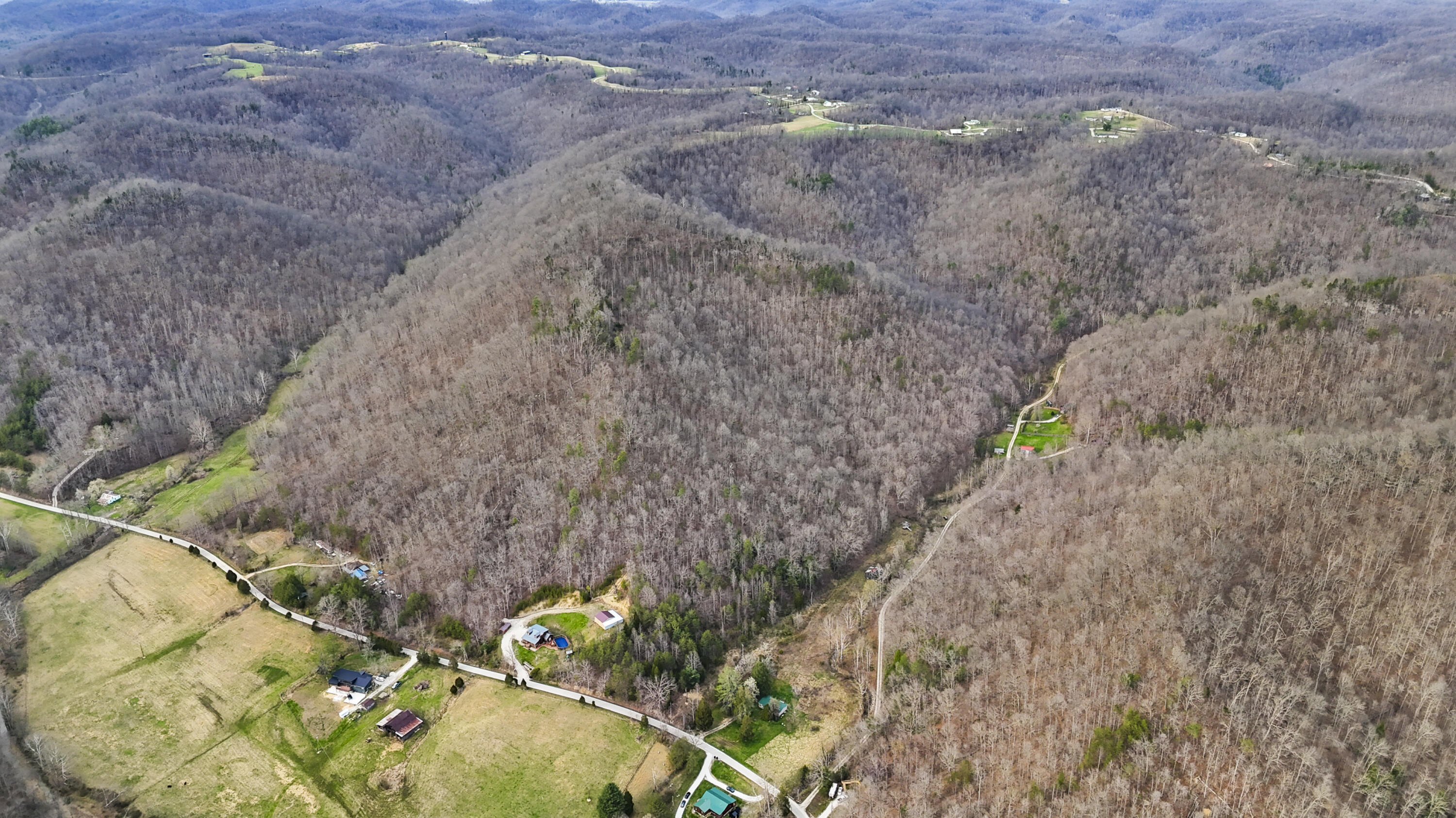 1450 Lower Cane Creek Road Property Photo 7