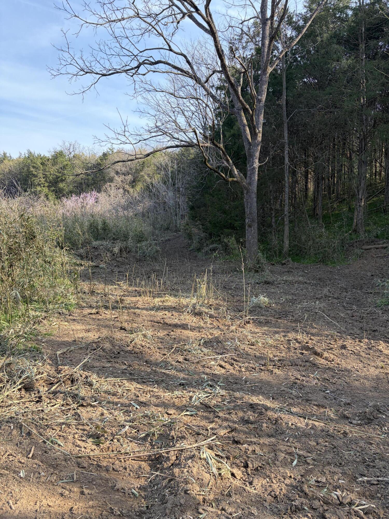 603 State Hwy 1003 Property Photo 5
