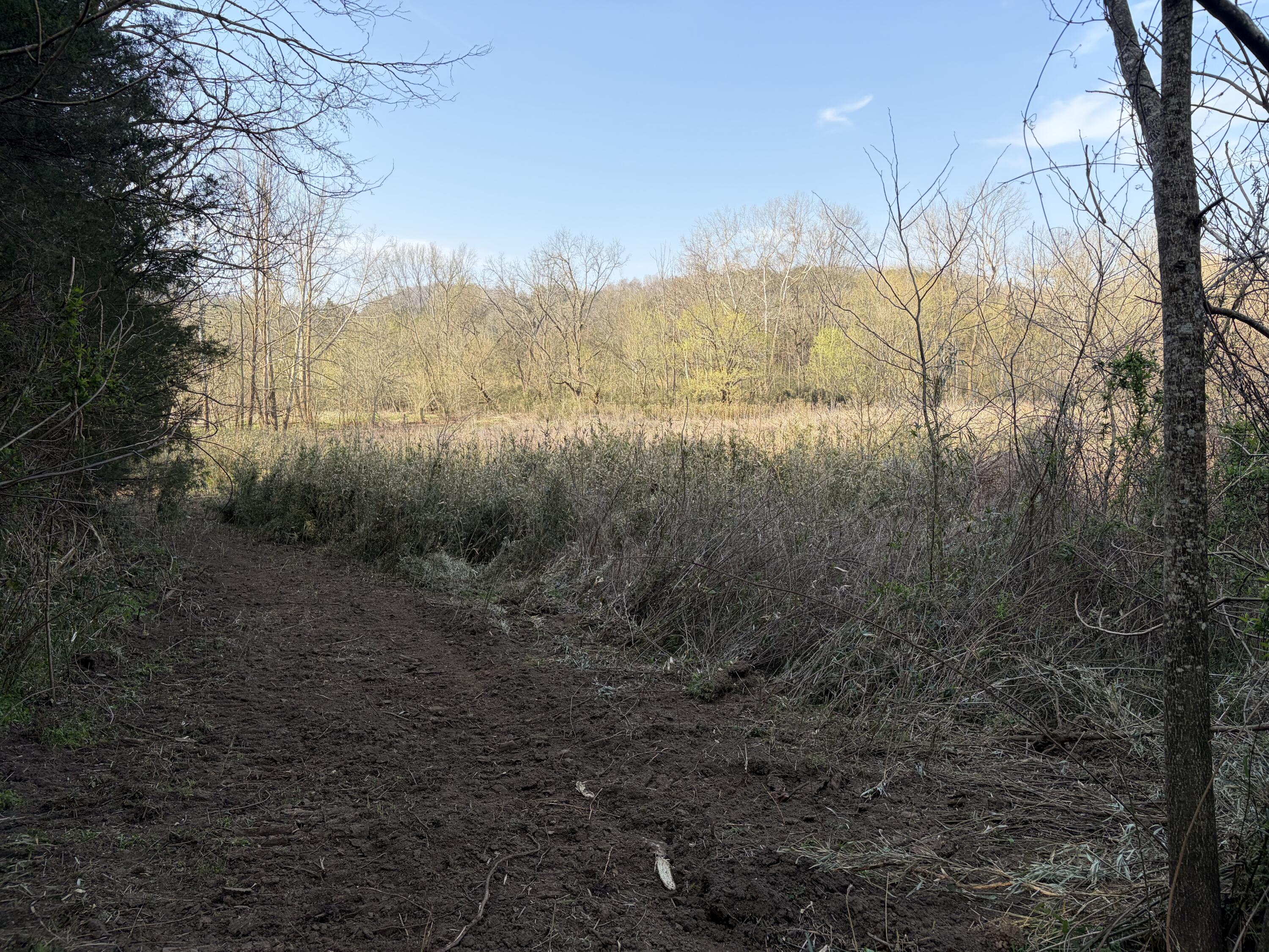 603 State Hwy 1003 Property Photo 8