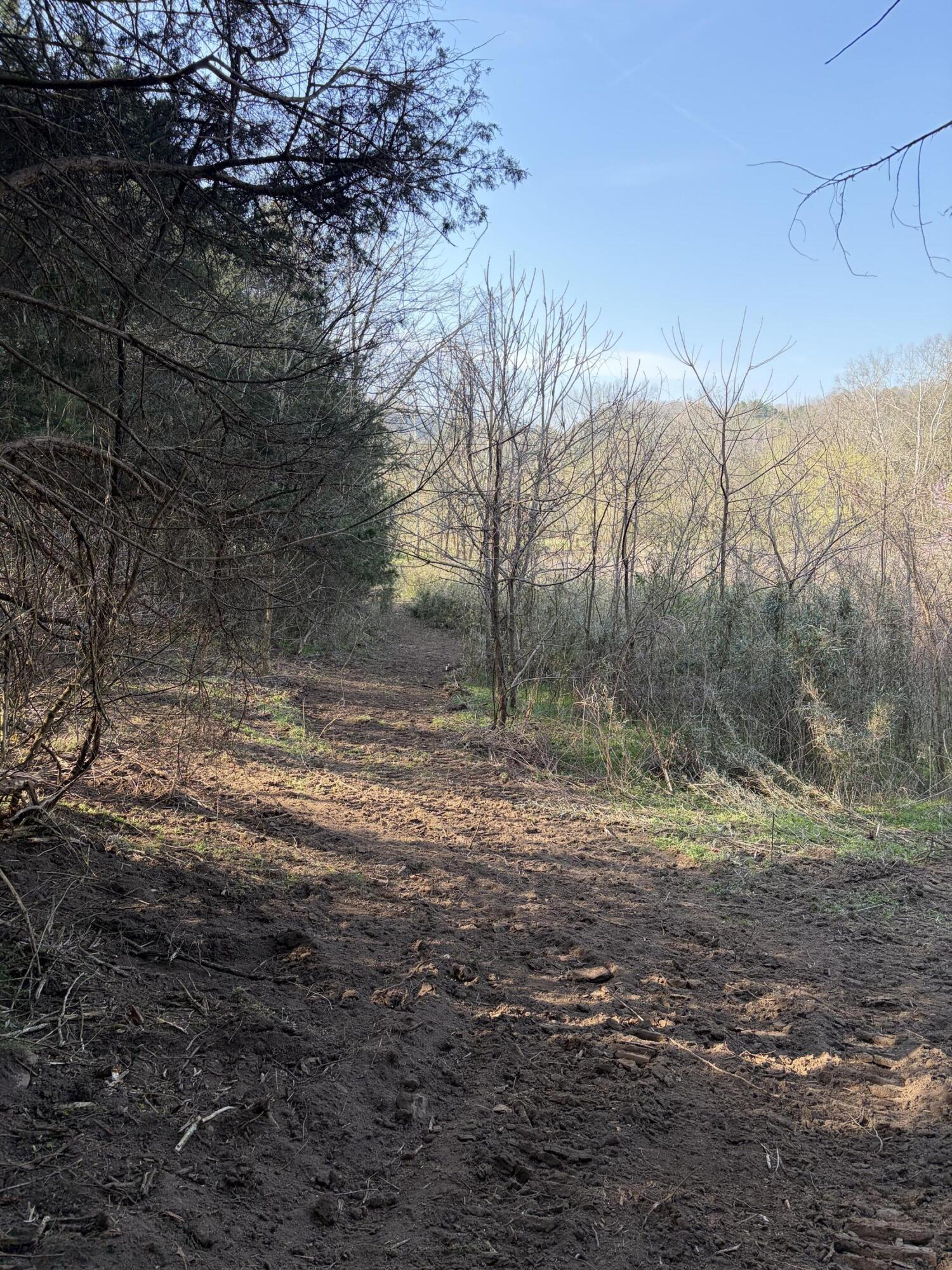 603 State Hwy 1003 Property Photo 9