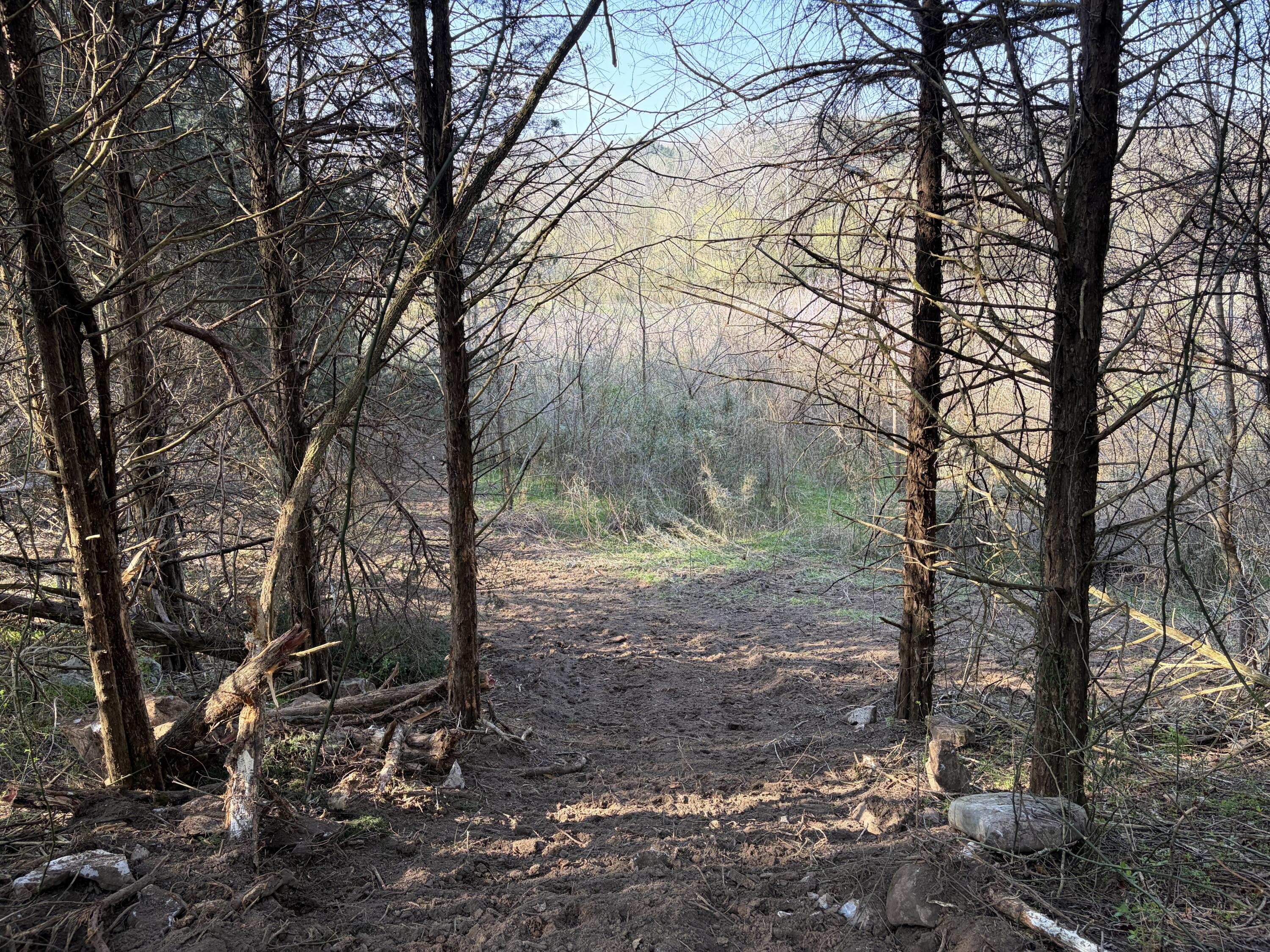 603 State Hwy 1003 Property Photo 10