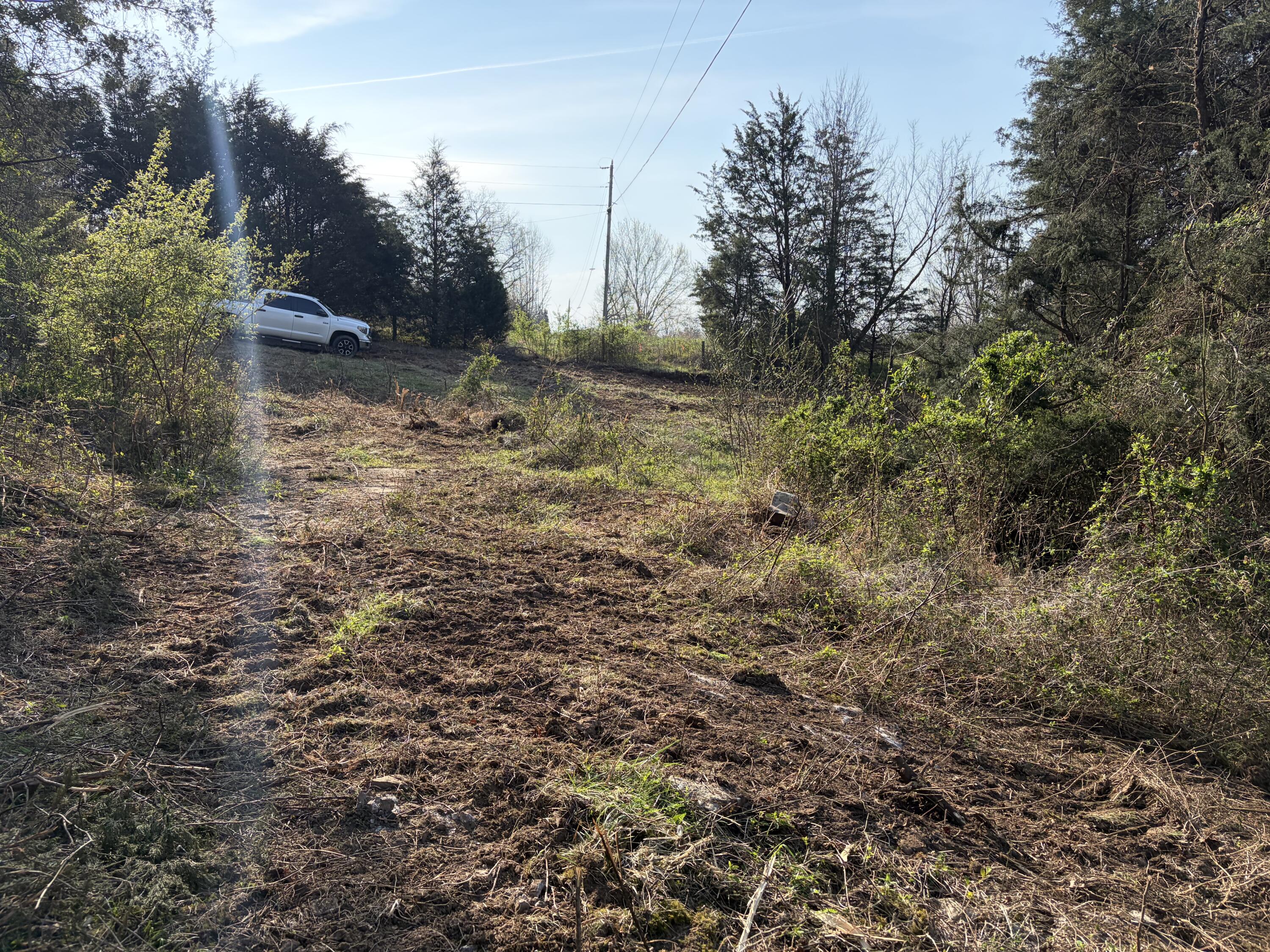 603 State Hwy 1003 Property Photo 11
