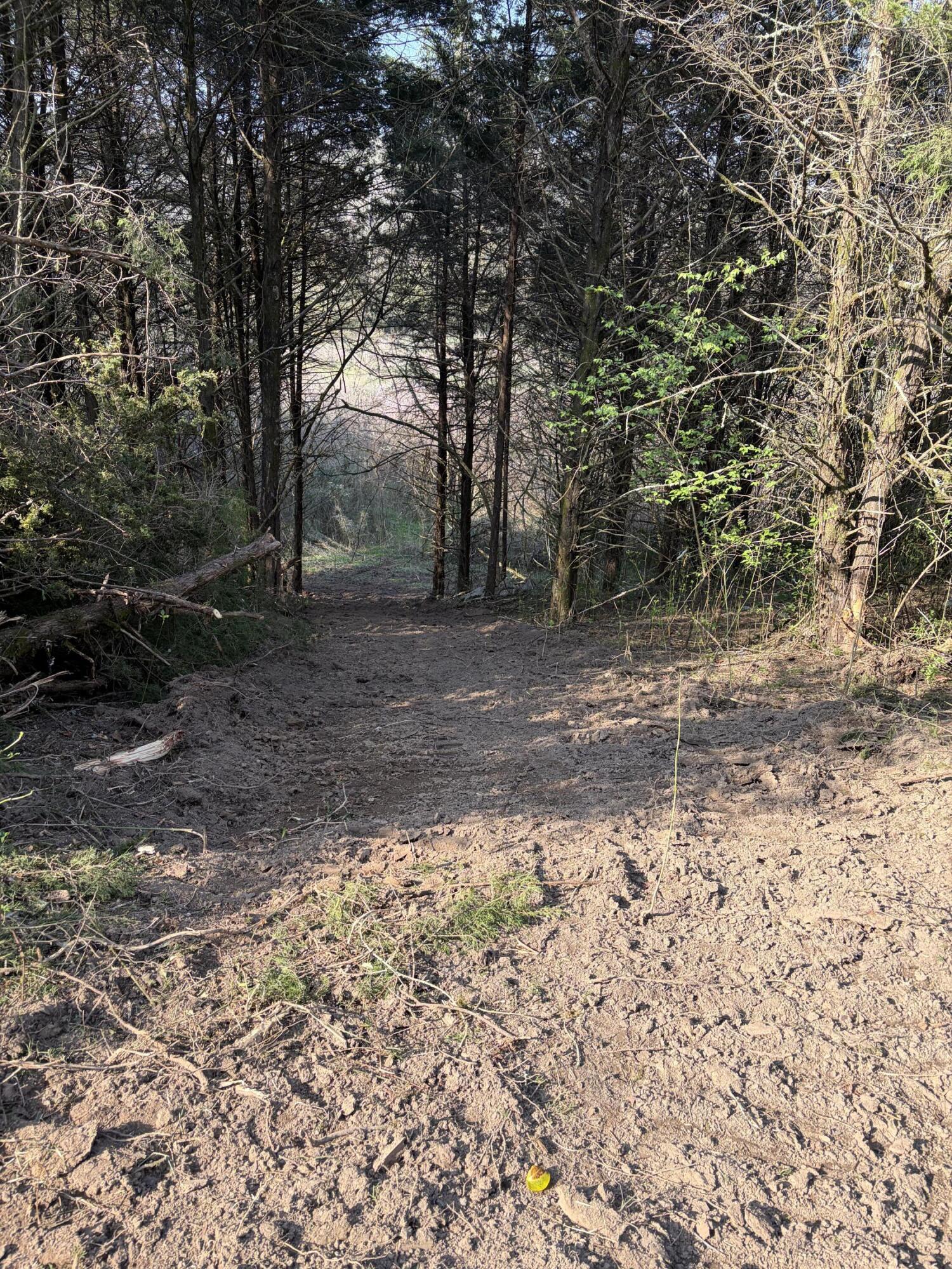 603 State Hwy 1003 Property Photo 12