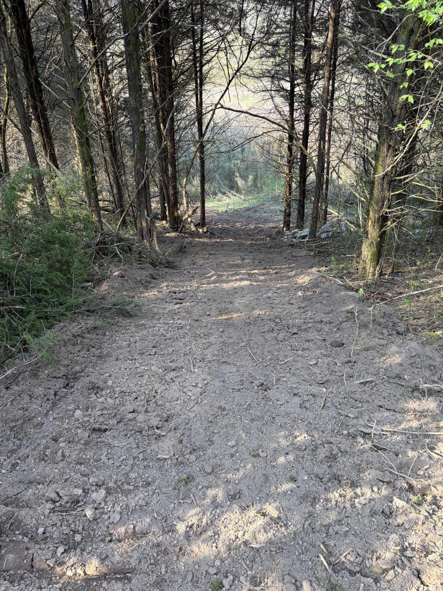 603 State Hwy 1003 Property Photo 13