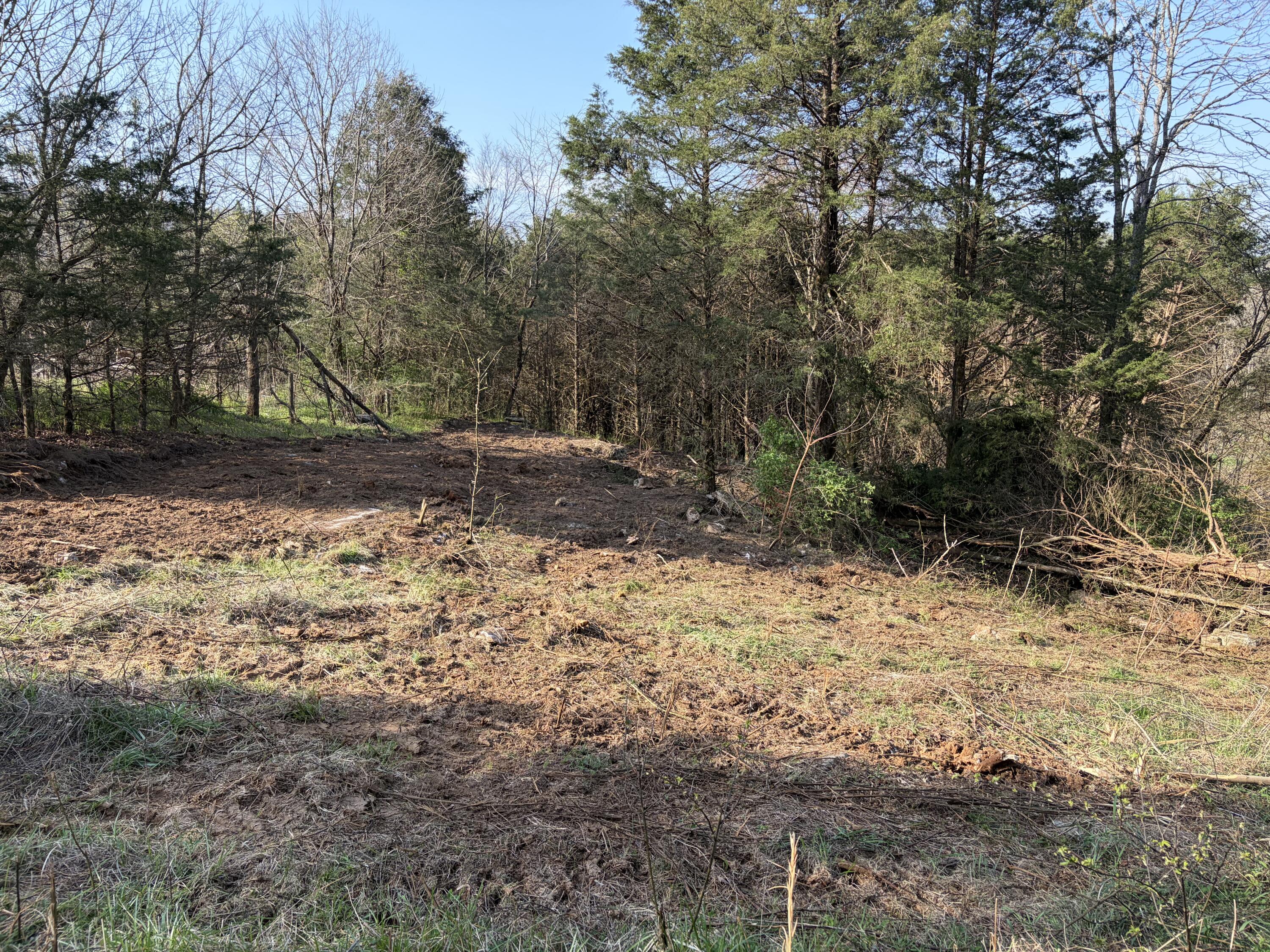 603 State Hwy 1003 Property Photo 14