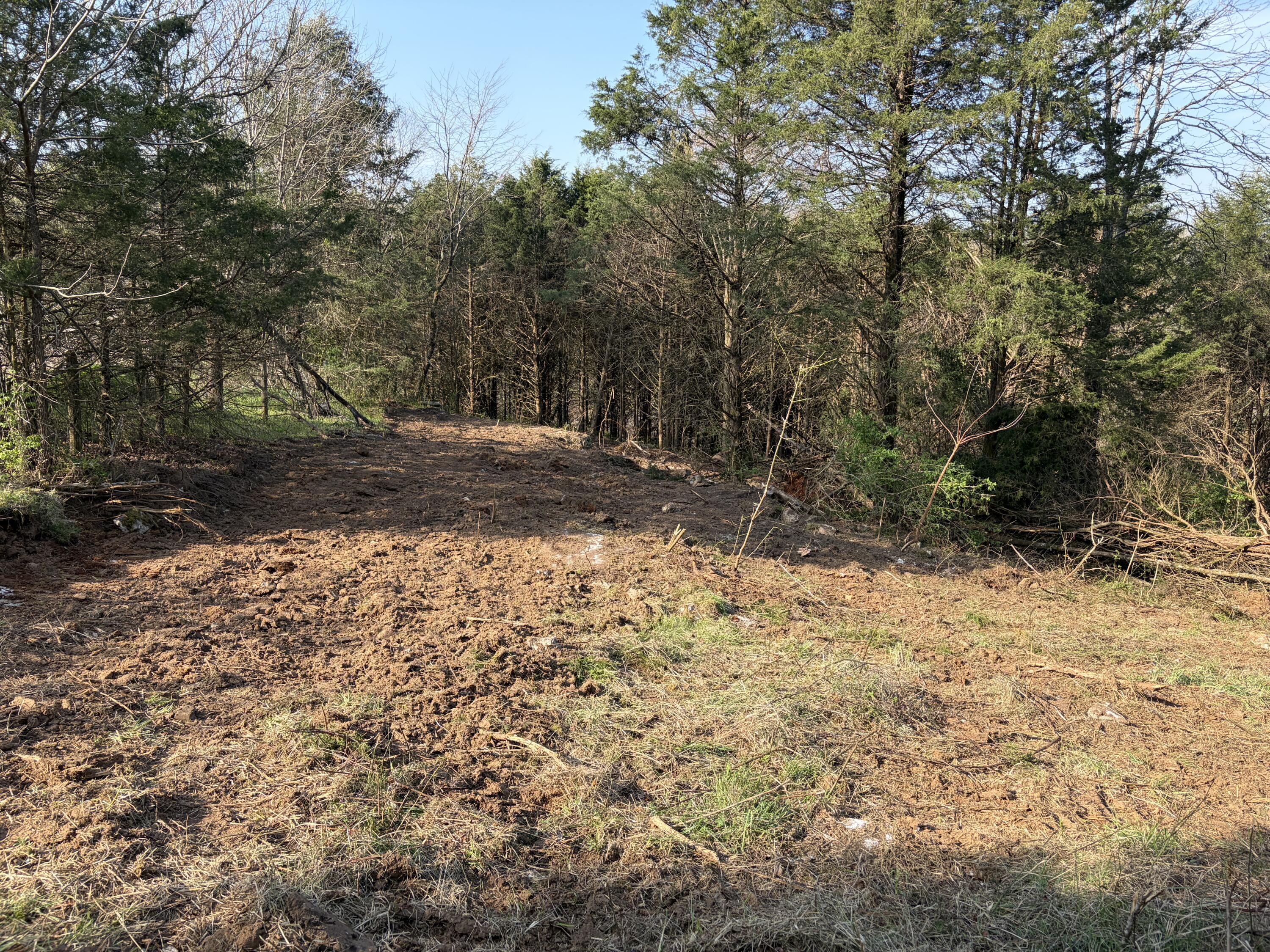 603 State Hwy 1003 Property Photo 15