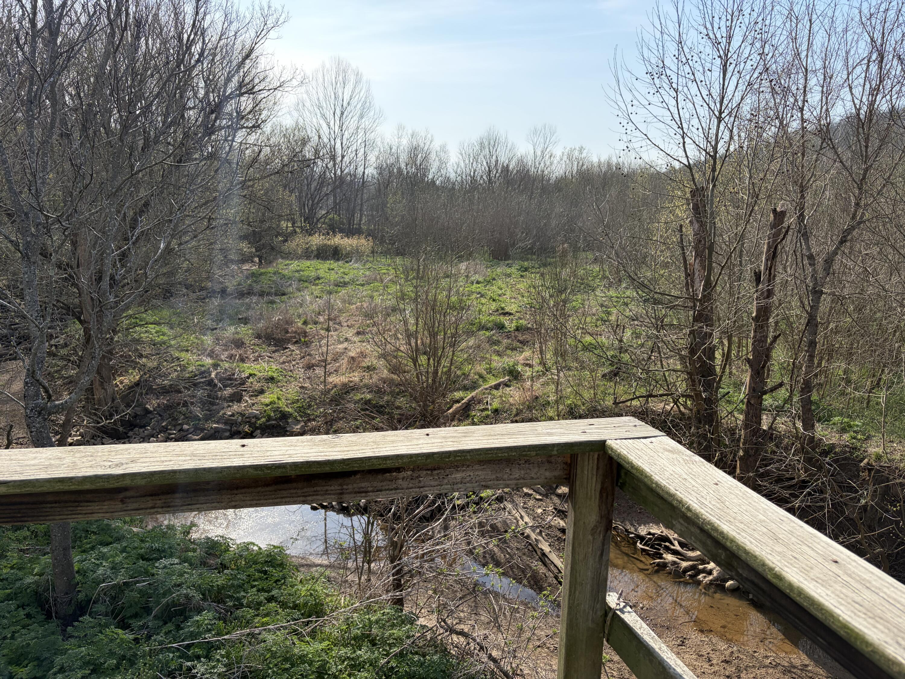 603 State Hwy 1003 Property Photo 18