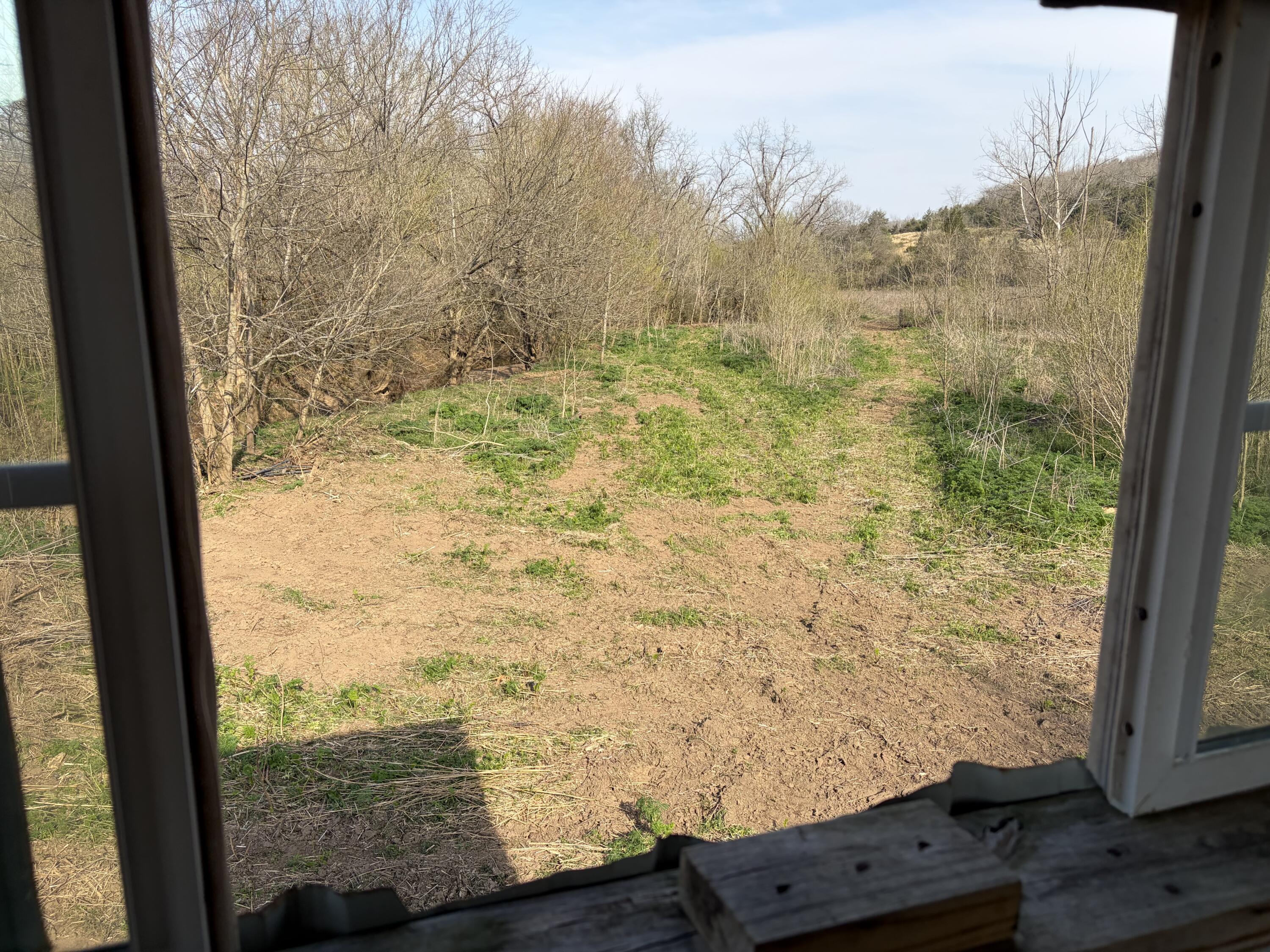 603 State Hwy 1003 Property Photo 19